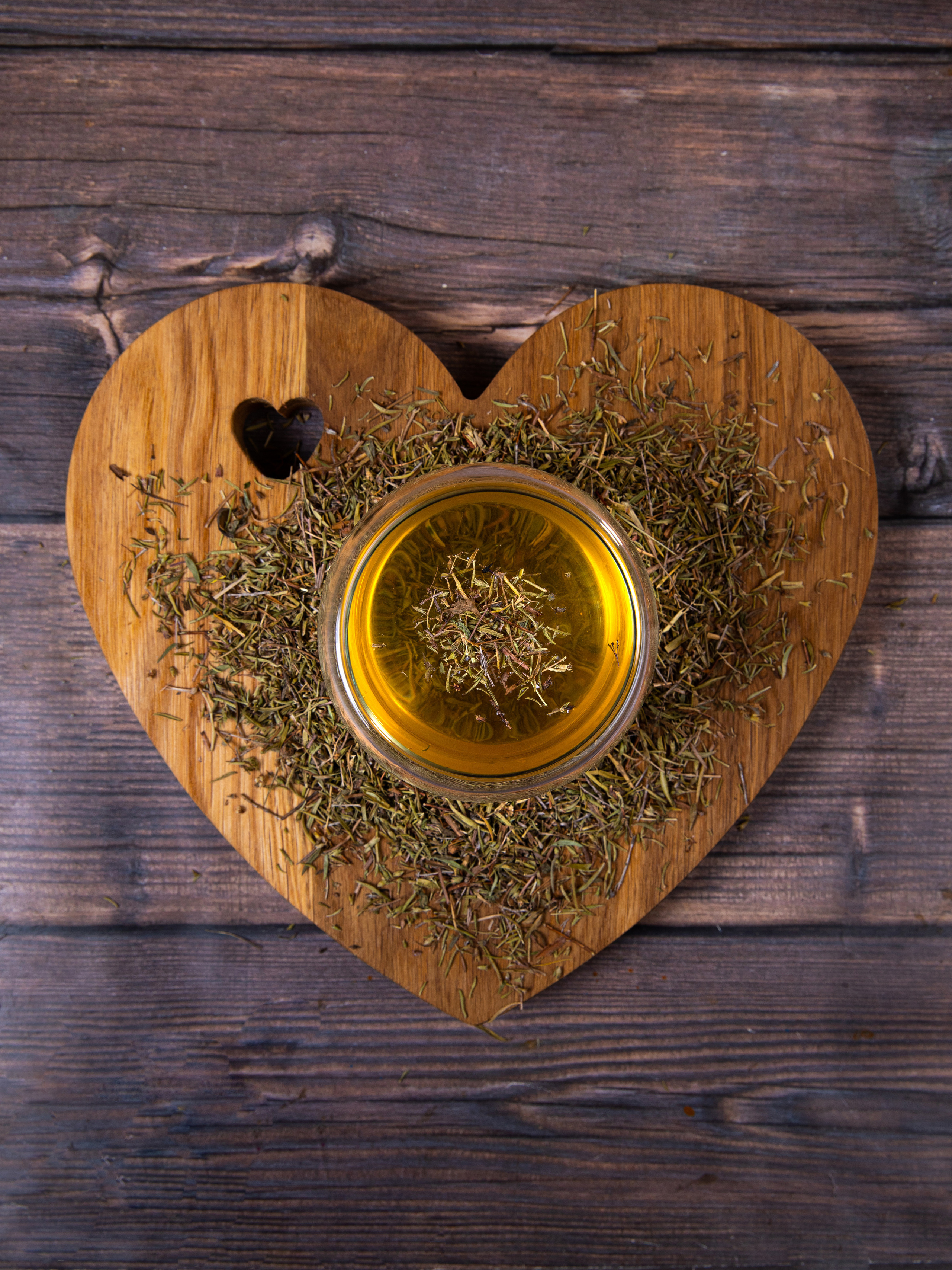 Чайный дом Гамония. Семейный и школьный фотограф Катерина Голубева