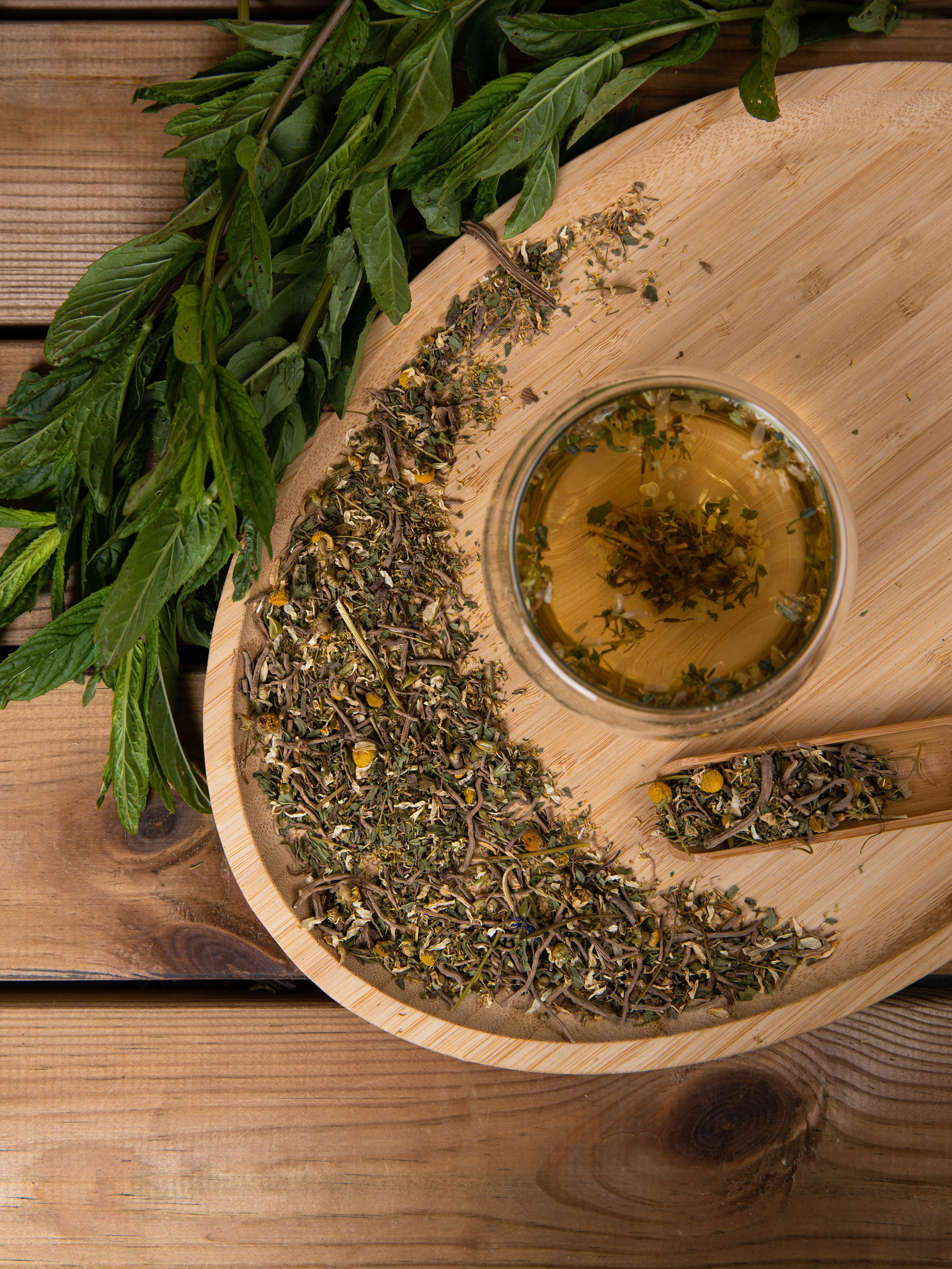 Чайный дом Гамония. Семейный и школьный фотограф Катерина Голубева