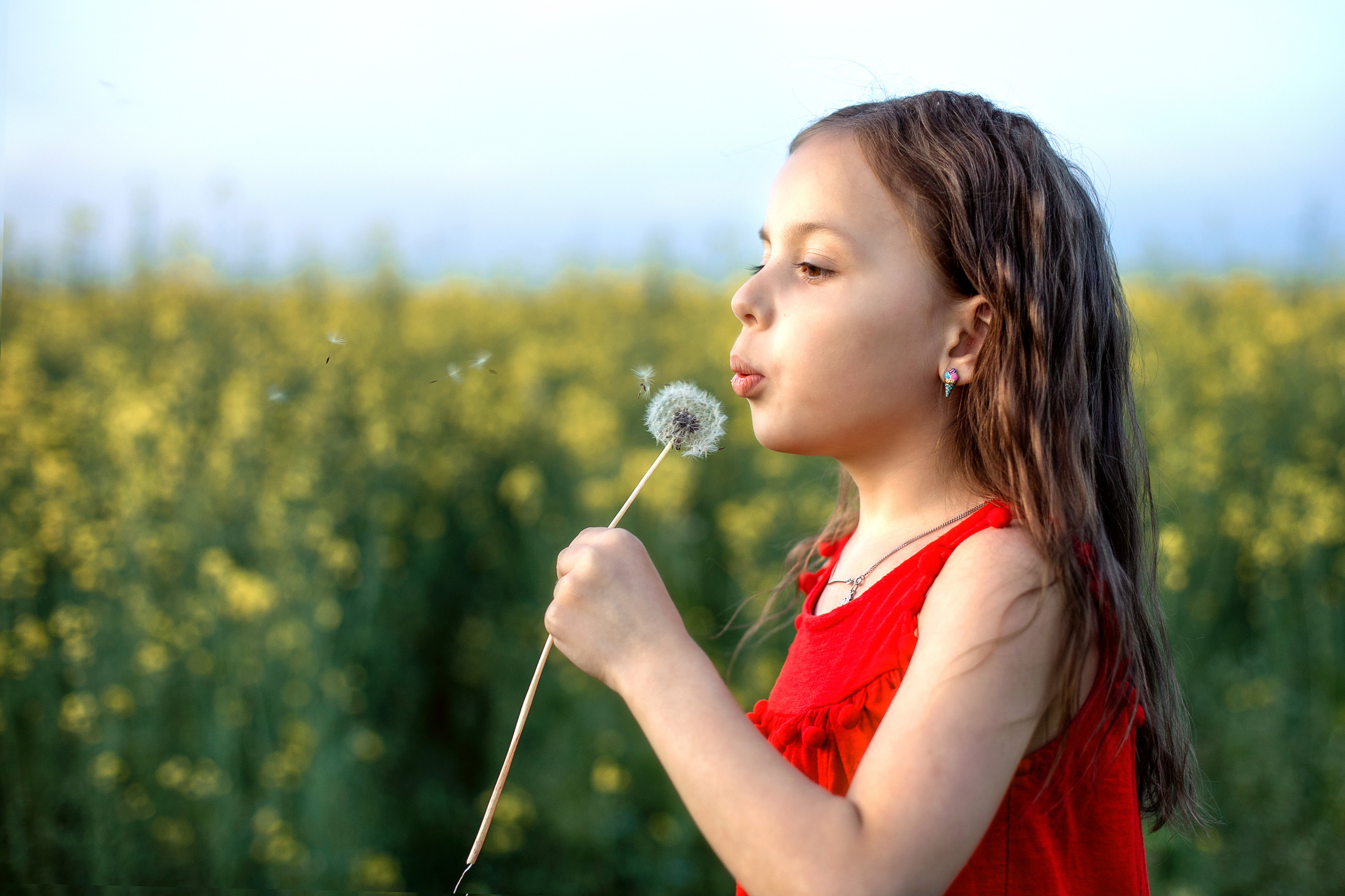 Семейный и школьный фотограф Катерина Голубева