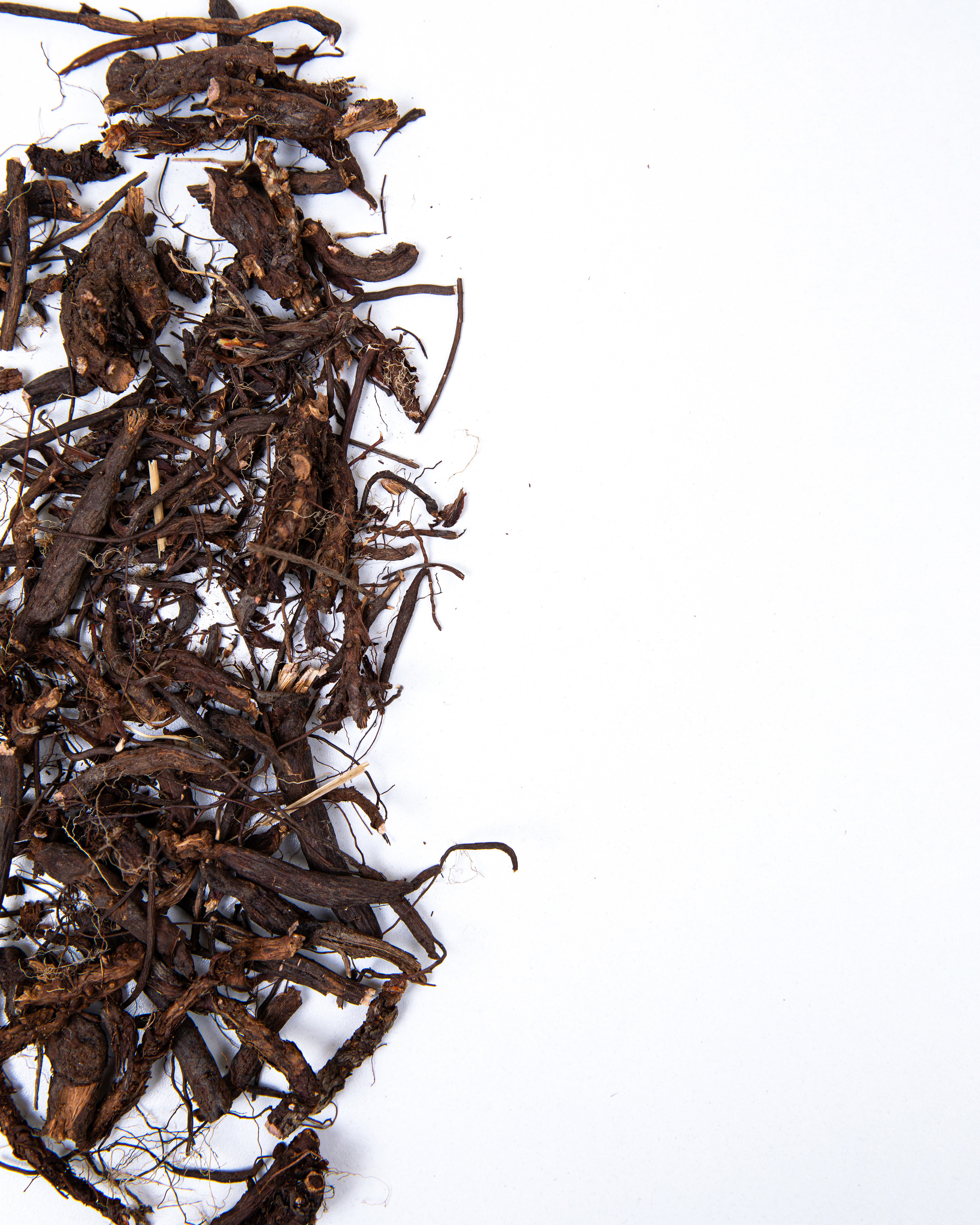 Чайный дом Гамония. Семейный и школьный фотограф Катерина Голубева