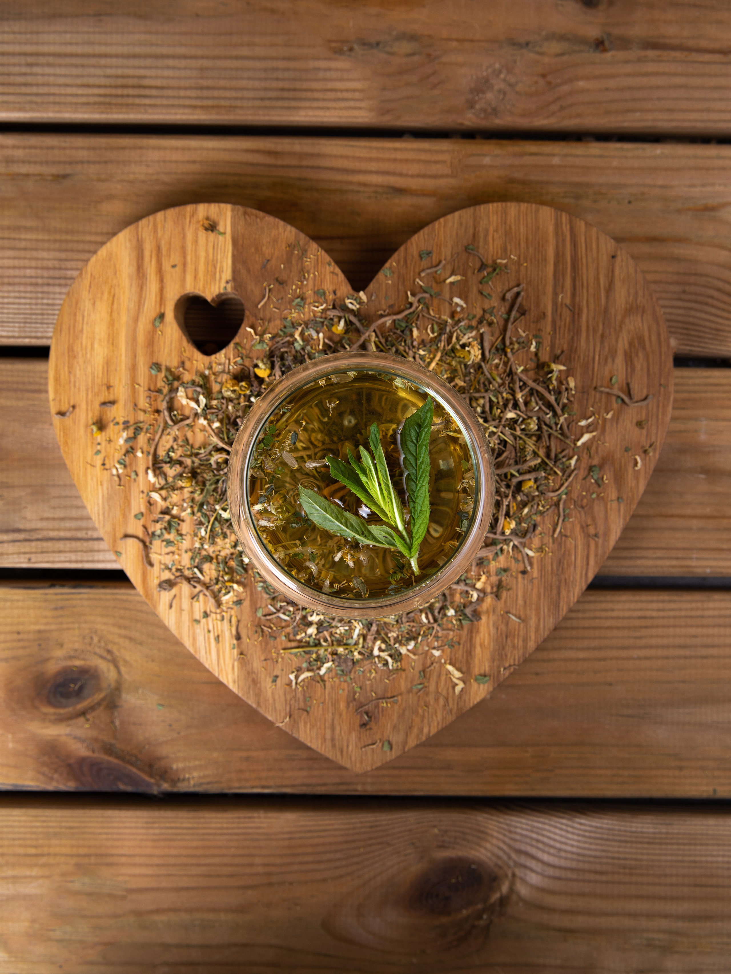 Чайный дом Гамония. Семейный и школьный фотограф Катерина Голубева