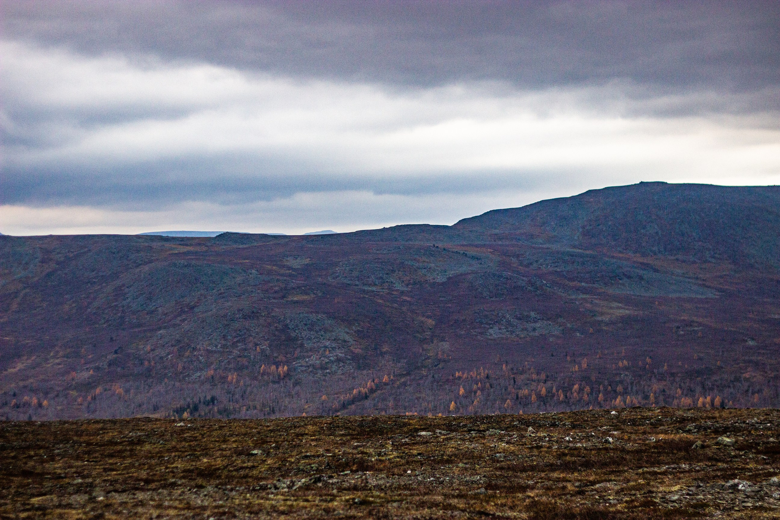 Станция Собь. Фотограф Екатерина Зорина
