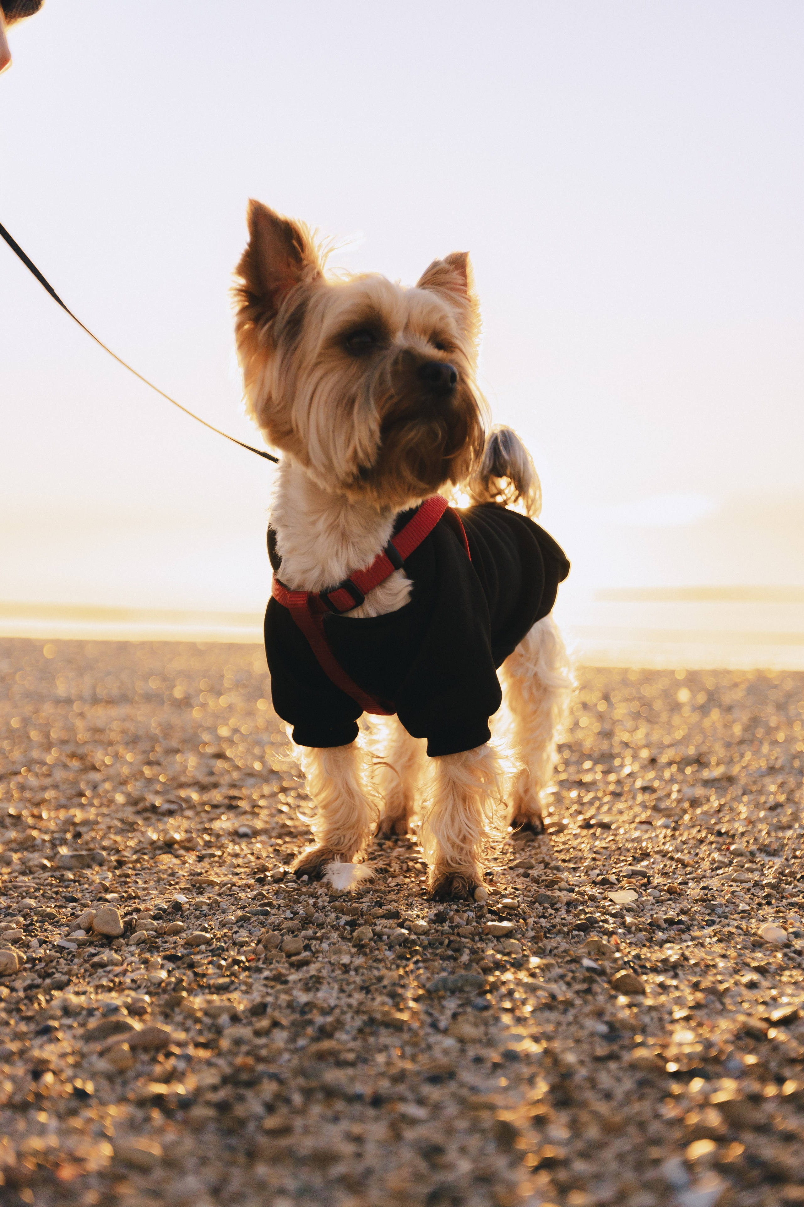 Саша и Ира. Фотограф Таганрог Любимая Надя