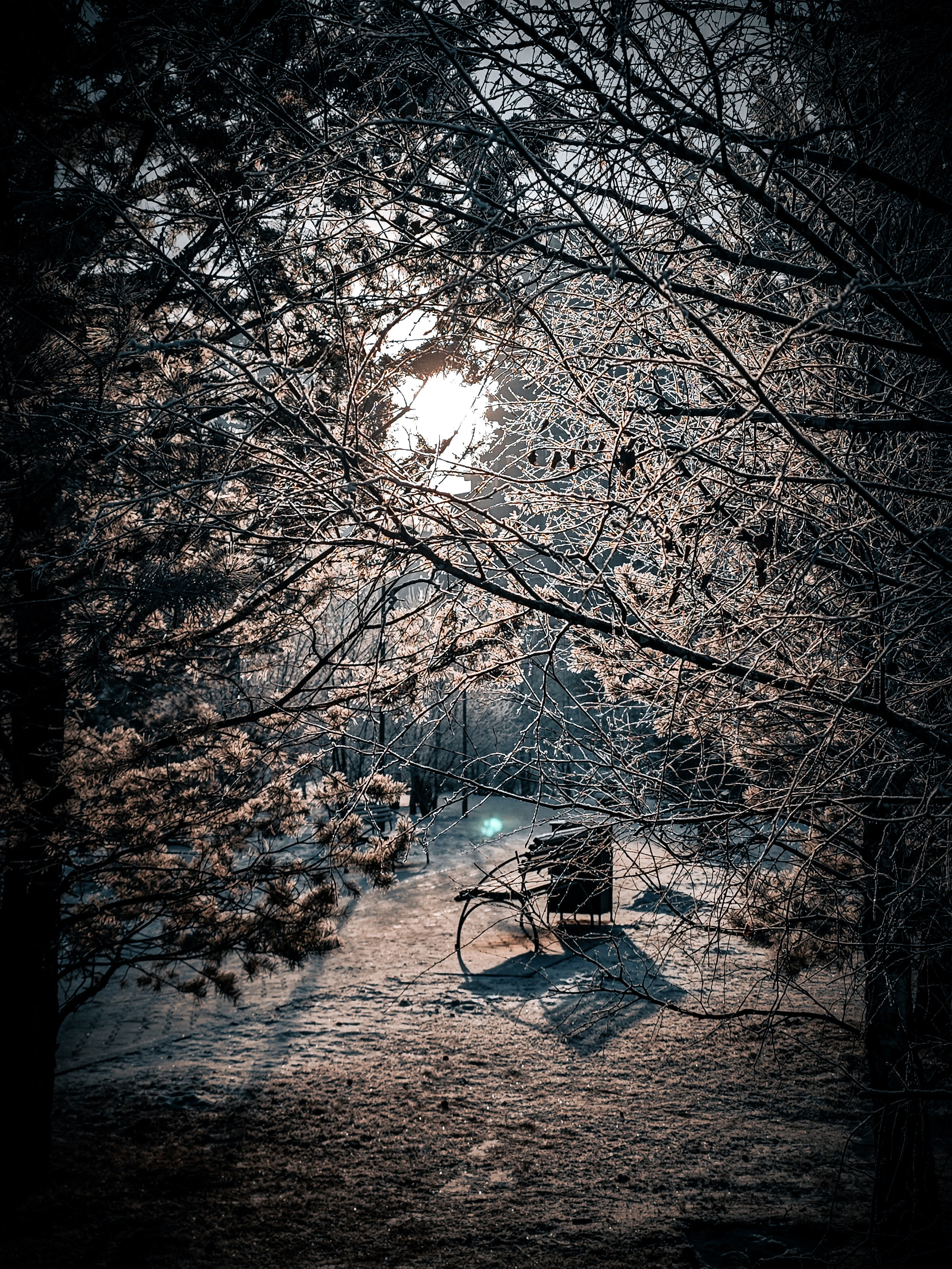 Скоро лето. Игорь Урывский. Фотограф Красноярск