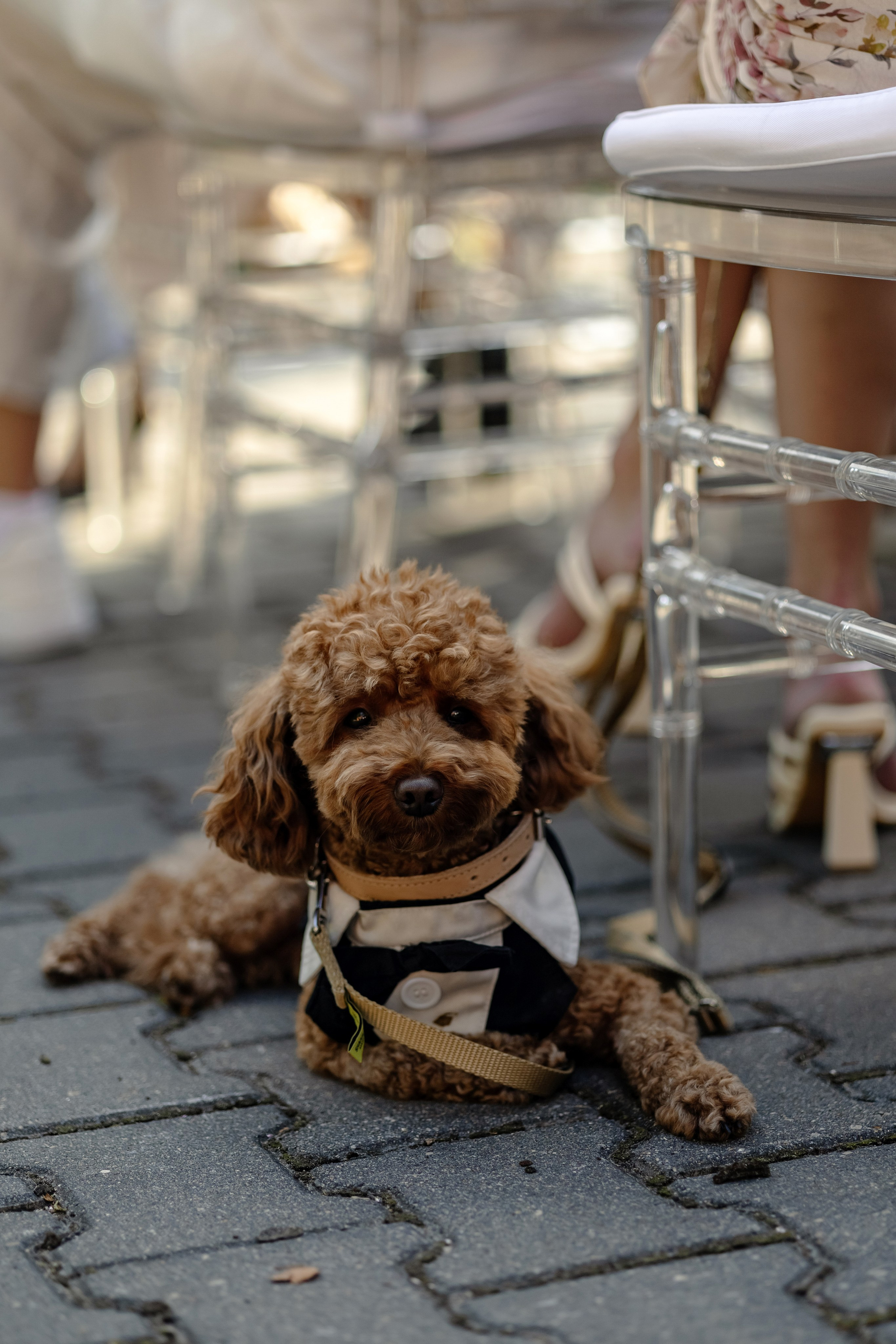 Сергей и Александра. Свадебный фотограф в Калининграде Филоненко Наталья