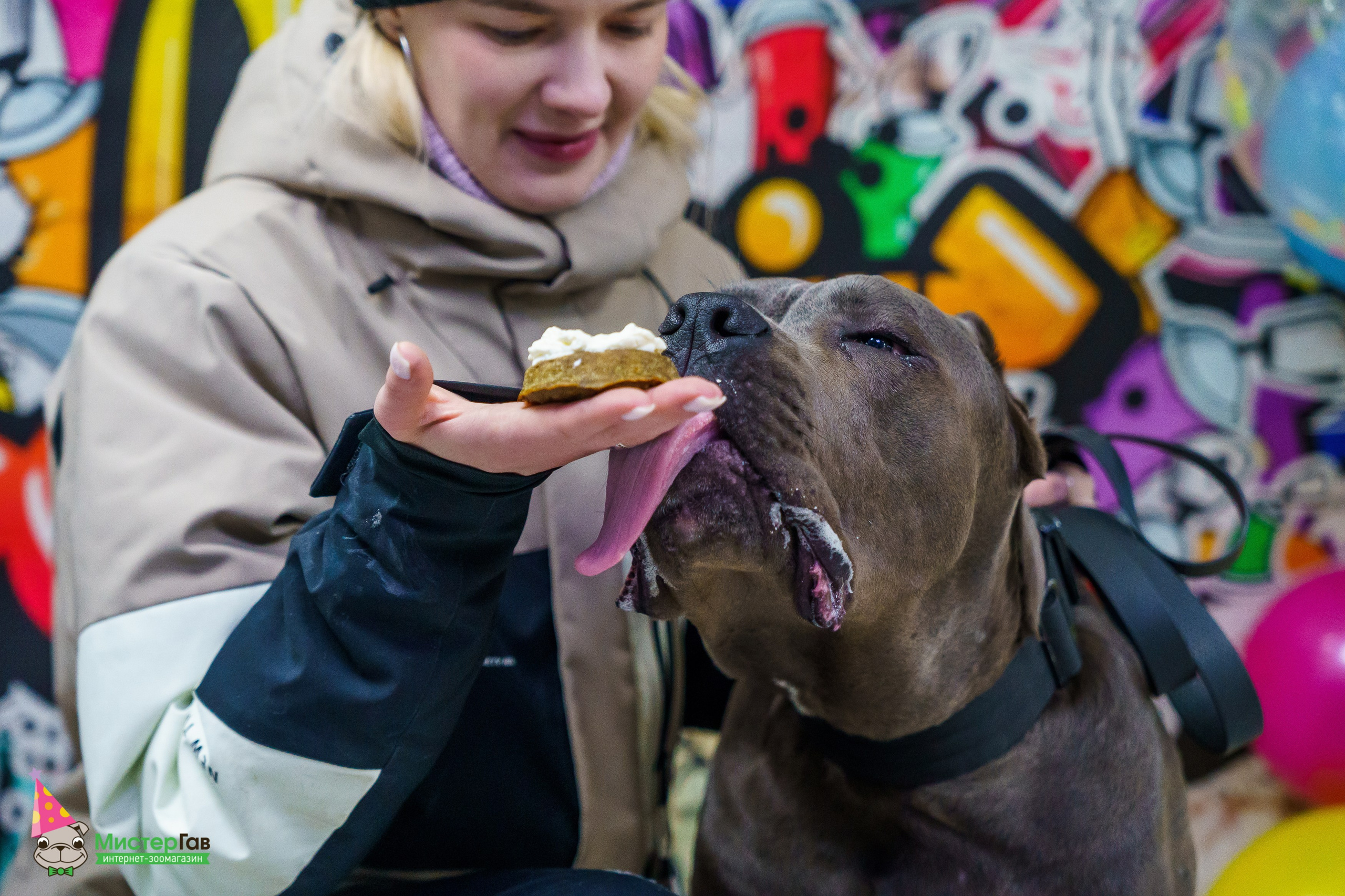Мистер Гав -13 лет!. Фотограф Челябинск · Ольга Серебрякова