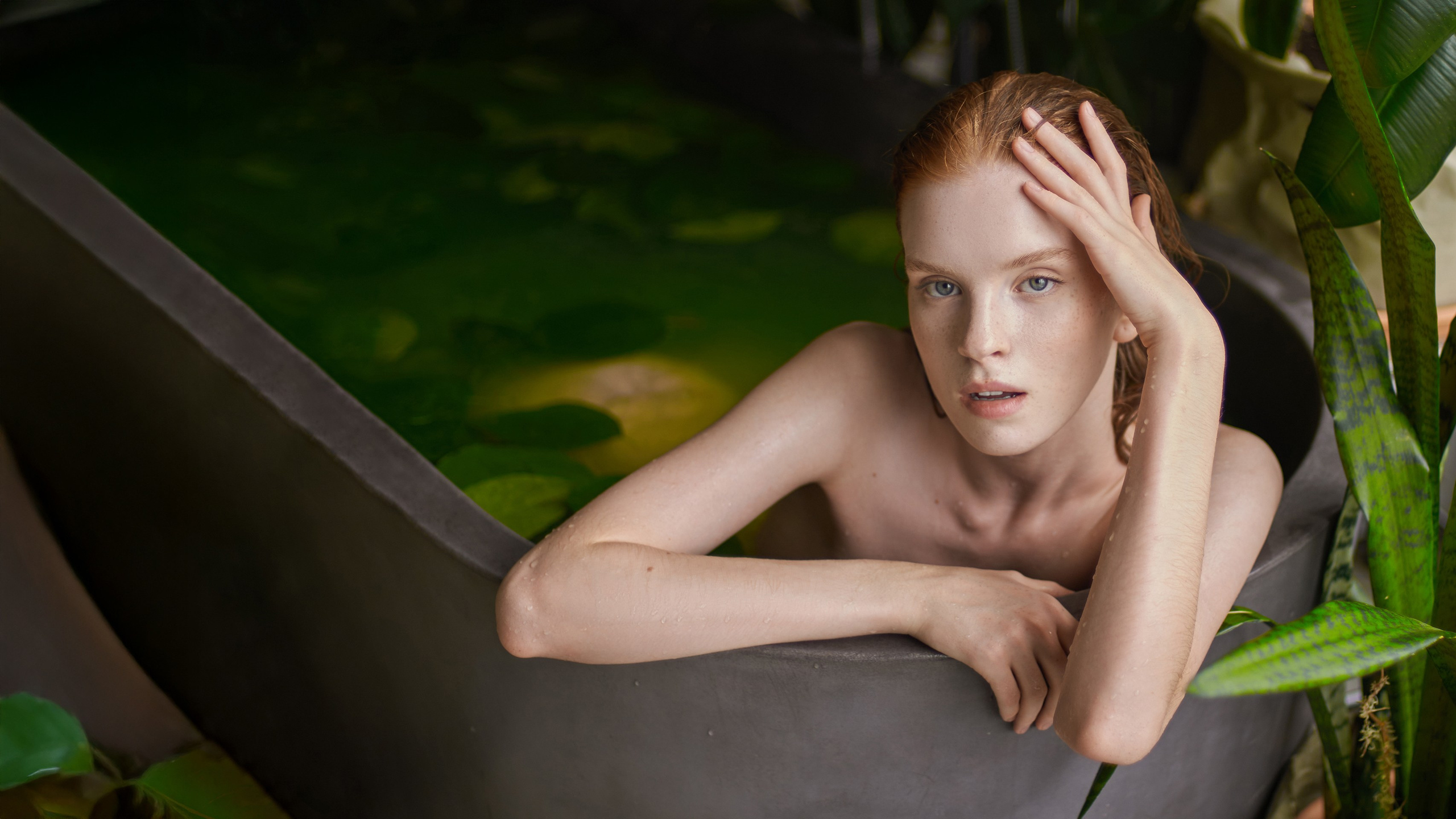 Контакты. Фотограф из Санкт-Петербурга Андрей Ревенко