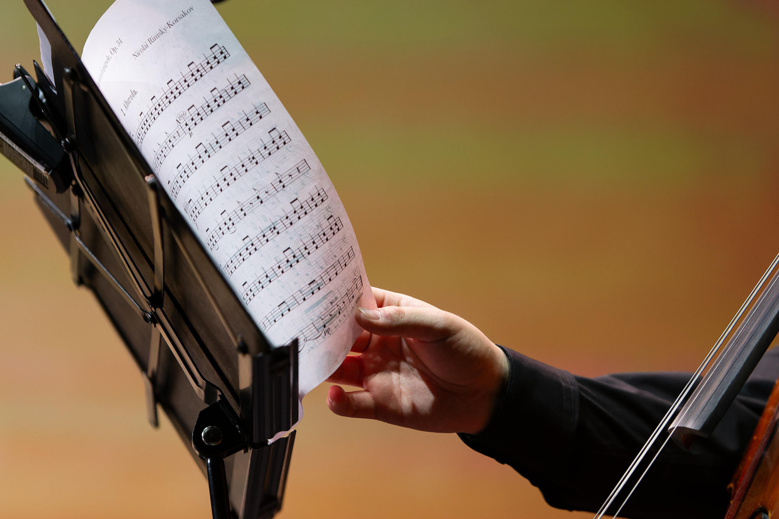 Концерт Южно-Сахалинского симфонического оркестра. Кутузов Евгений Фотограф в Южно-Сахалинске