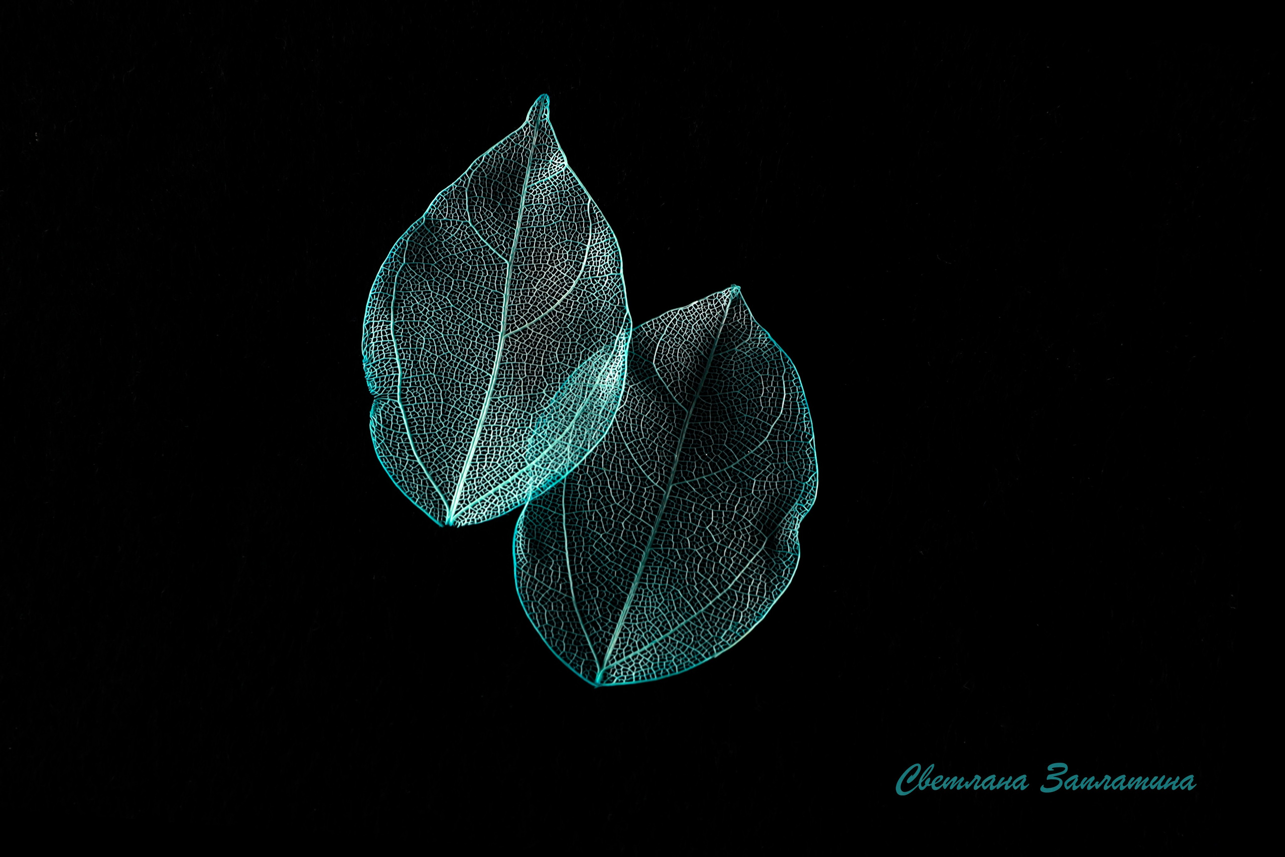 Предметная съемка. Фотограф Светлана Заплатина