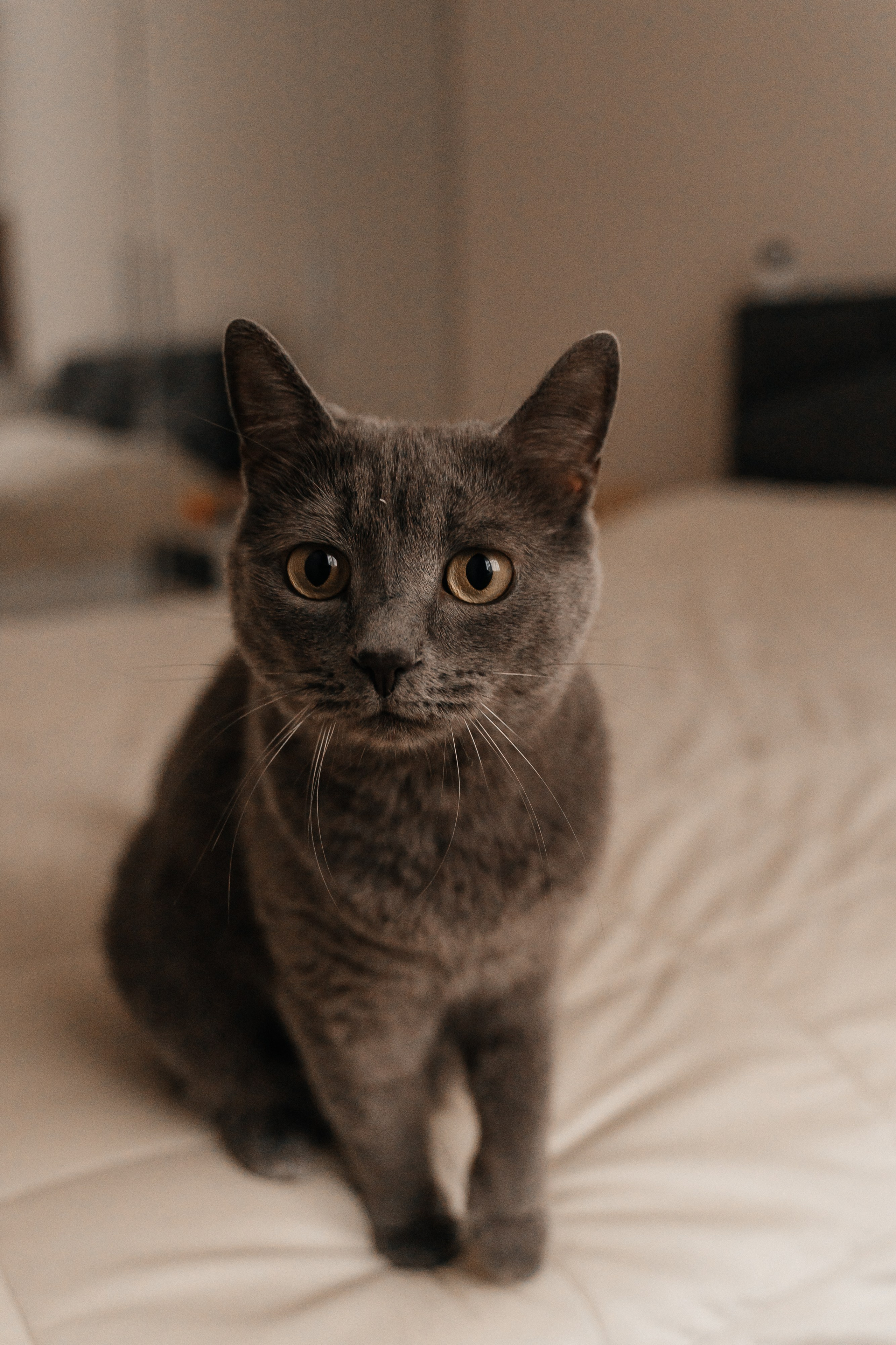 Вадим, Юля и Мирон. Волик Мария