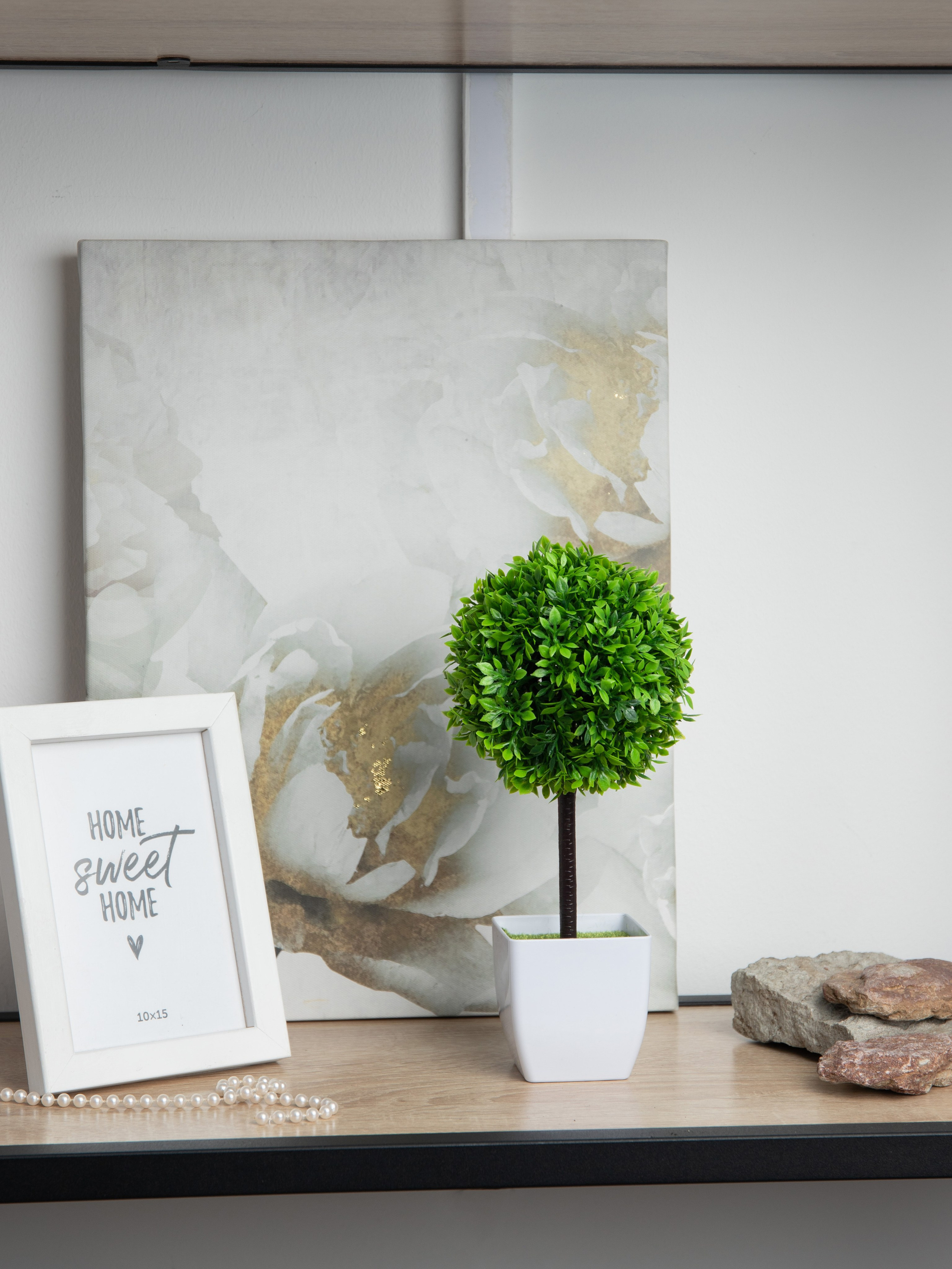 Декоративные деревья. Коммерческий фотограф в Санкт-Петербурге (СПб) Екатерина Панчёха, Панчёшка