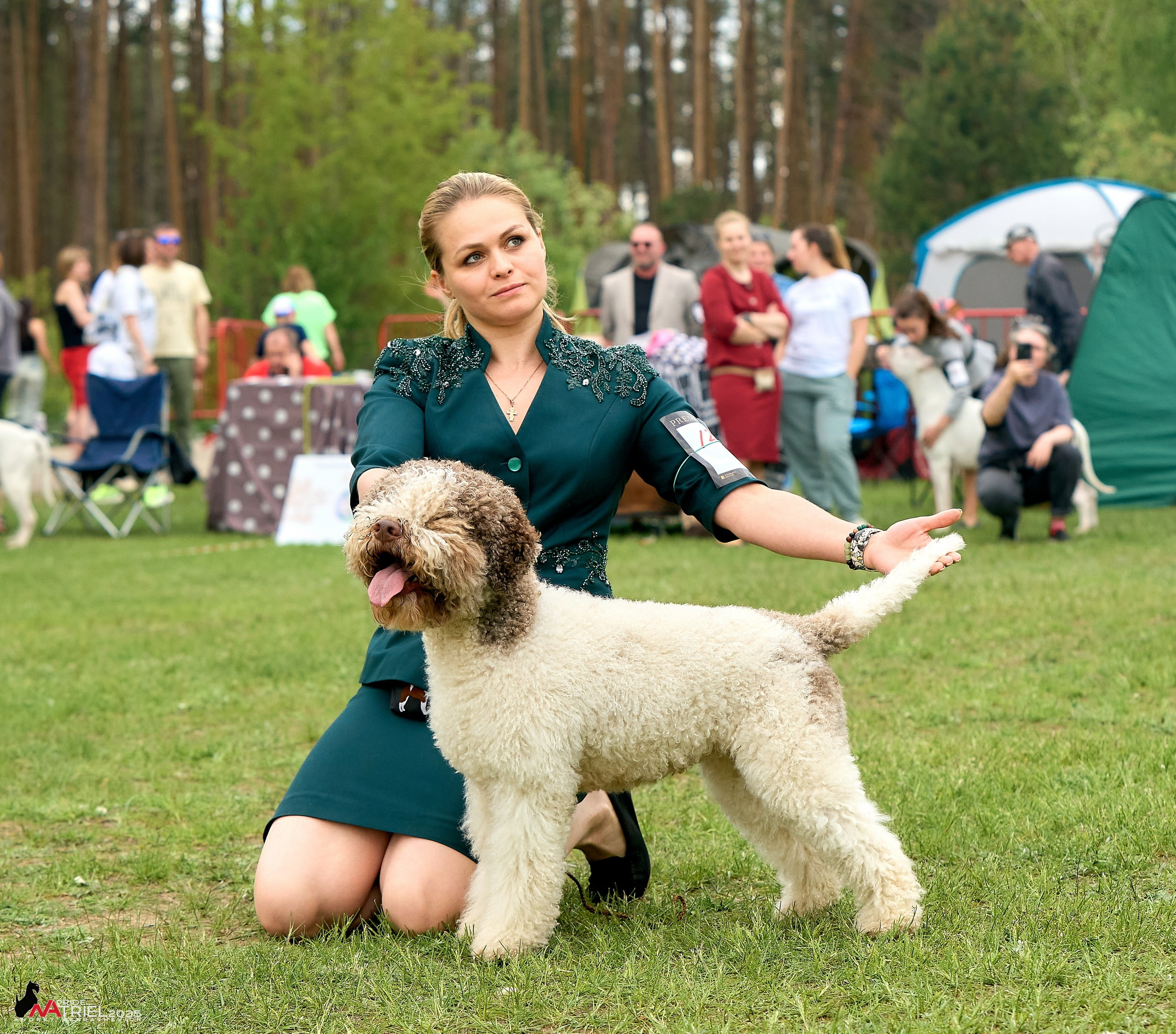 Выставка собак Суздаль-Владимир