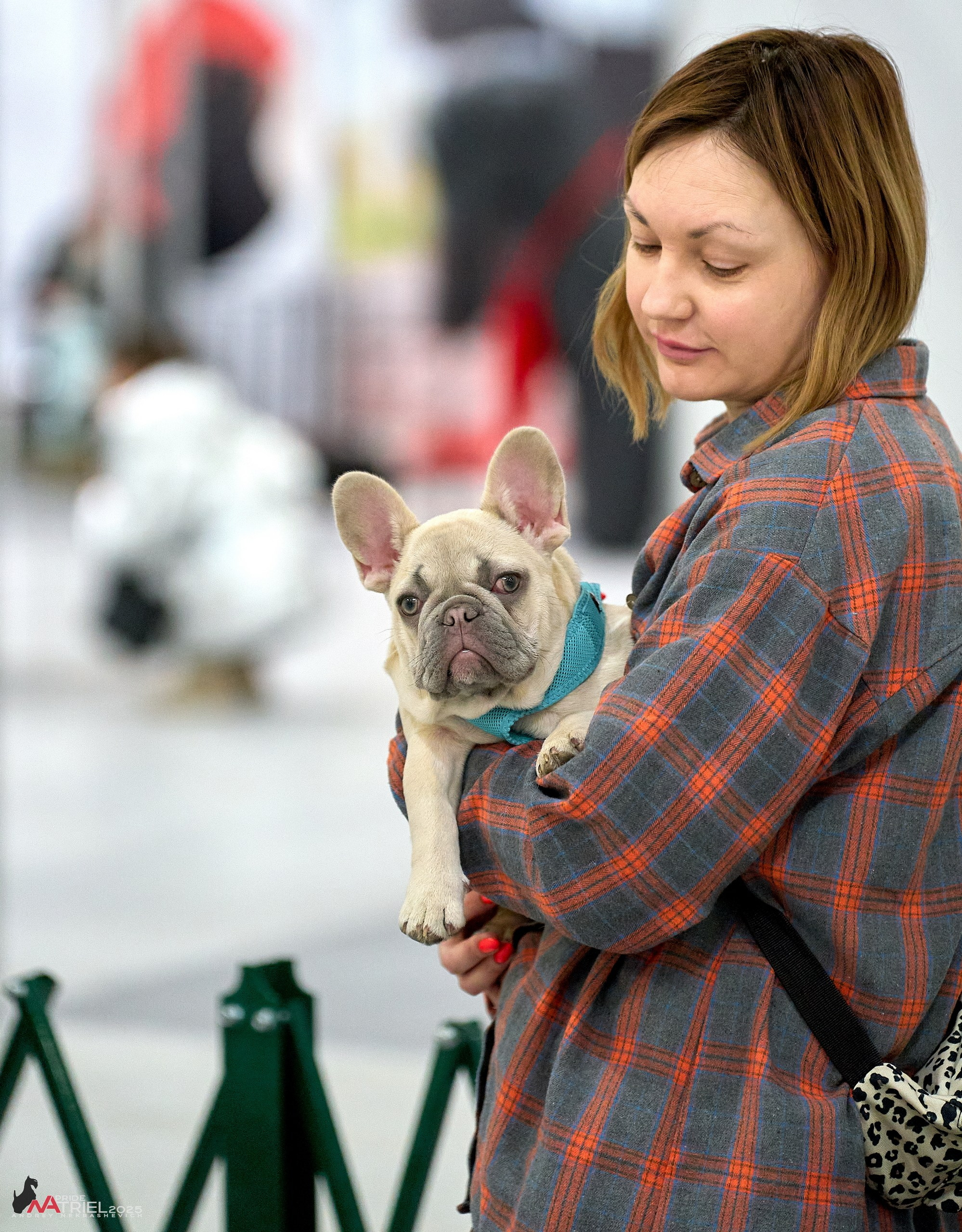 Репортаж с ЗООФЕСТ в Крокусе