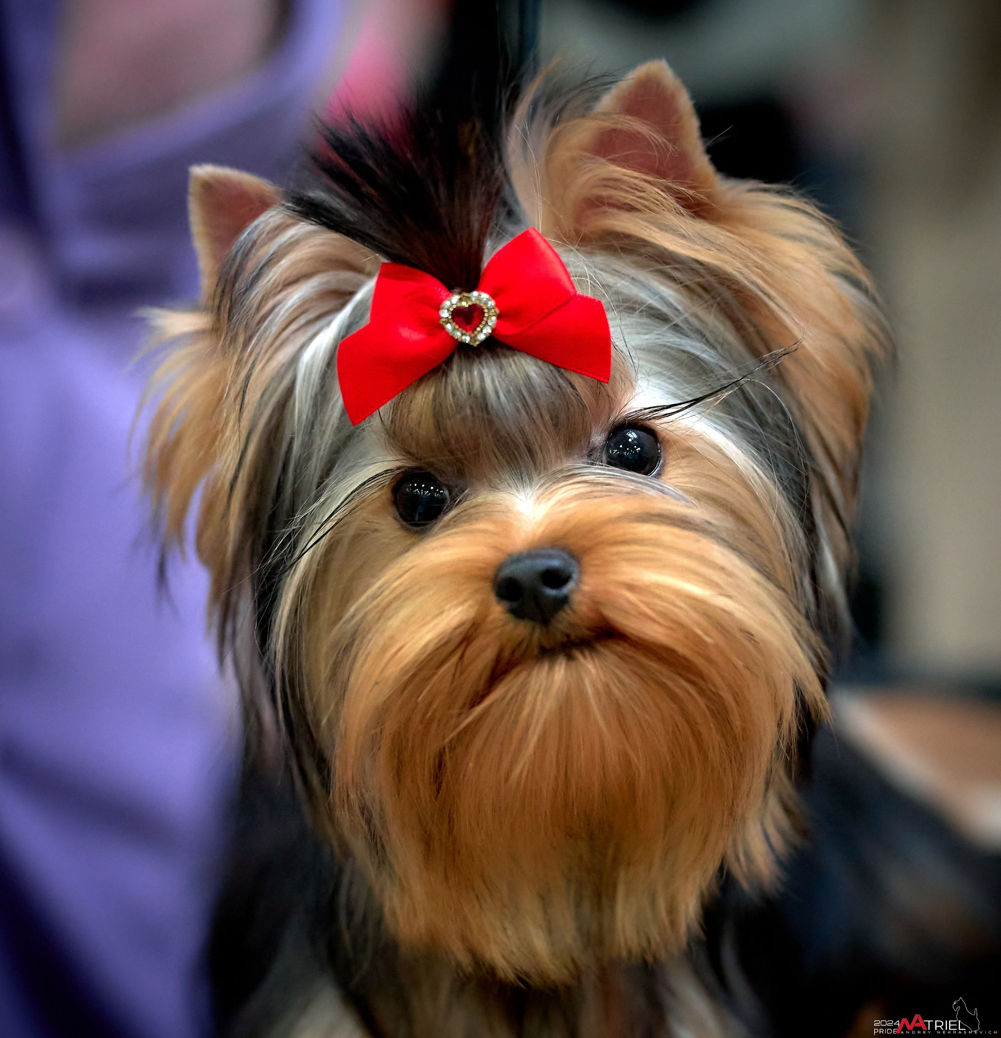 Съемка на выставке в Крокусе