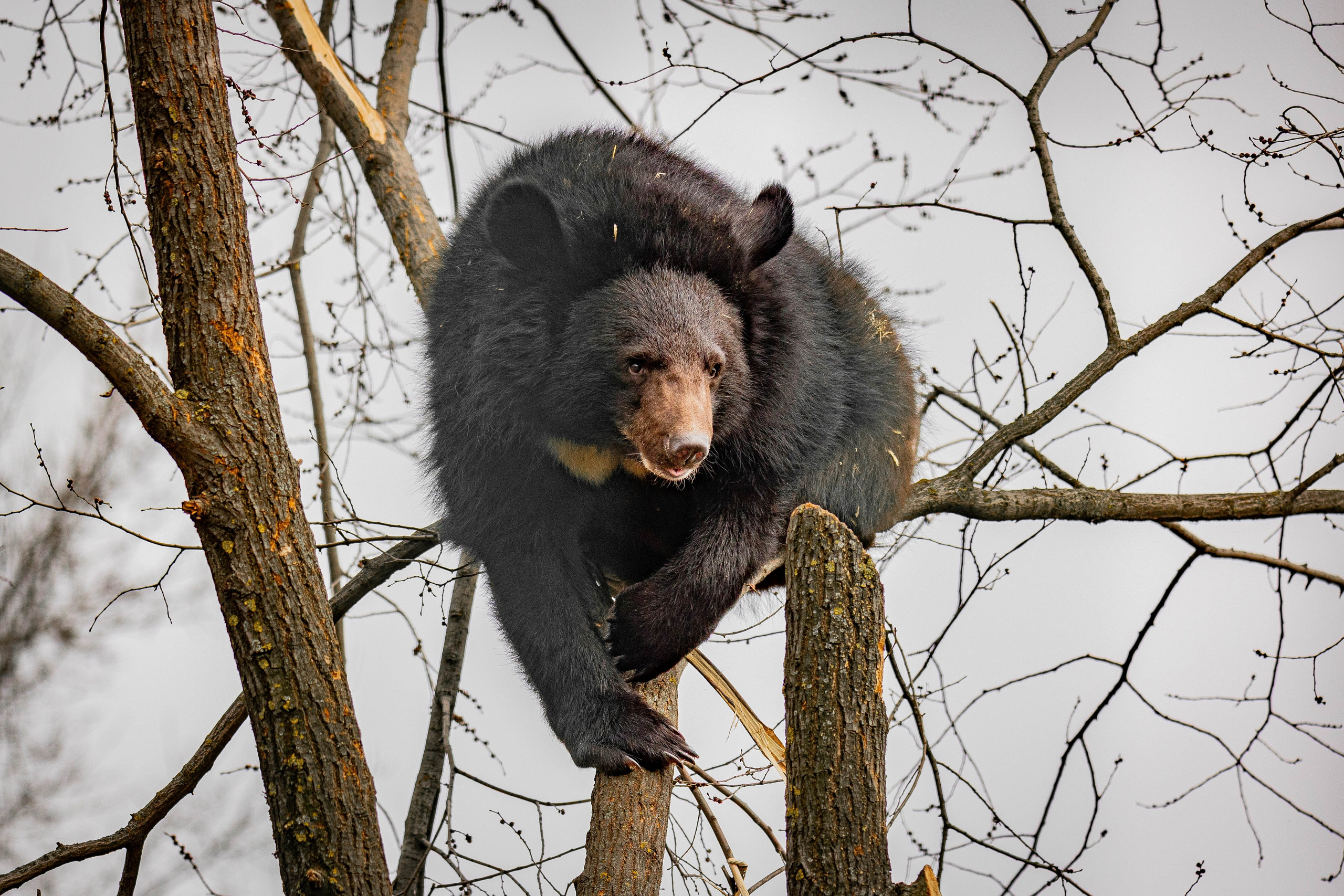 Парк Малинки 2026. Фотограф-АниМалист Анна Абрамова