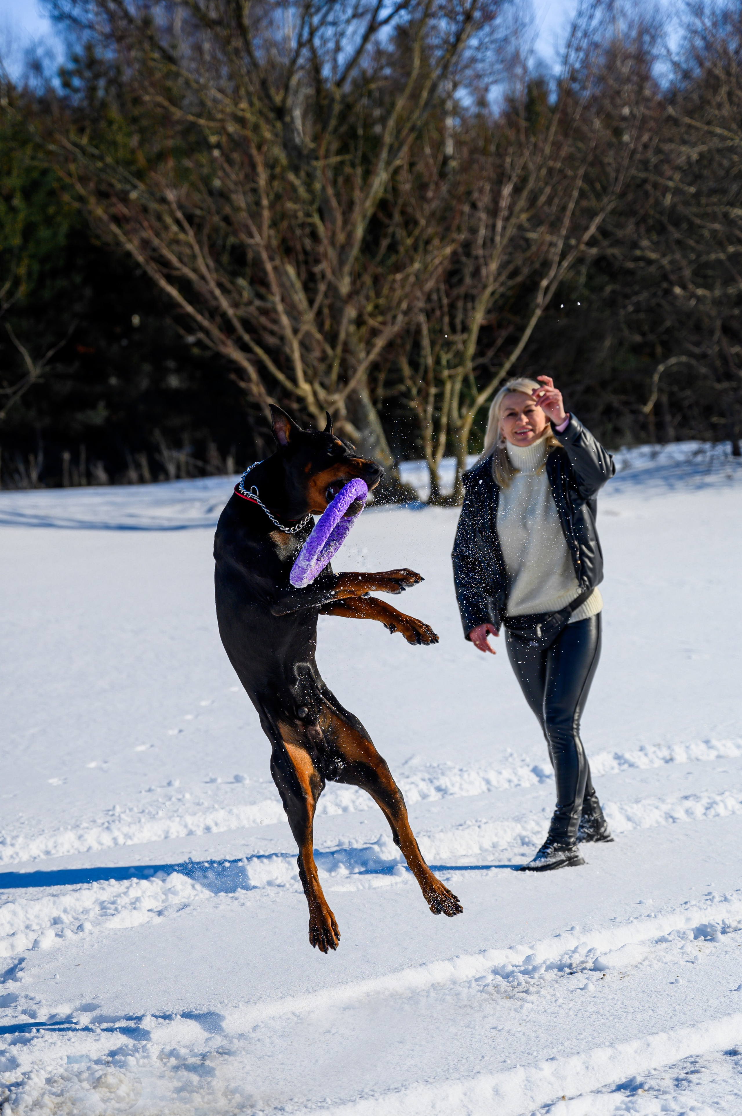 Доберман Рэн. Bazarkom-photo.ru Фотограф Виктор Оськин в Старом Осколе