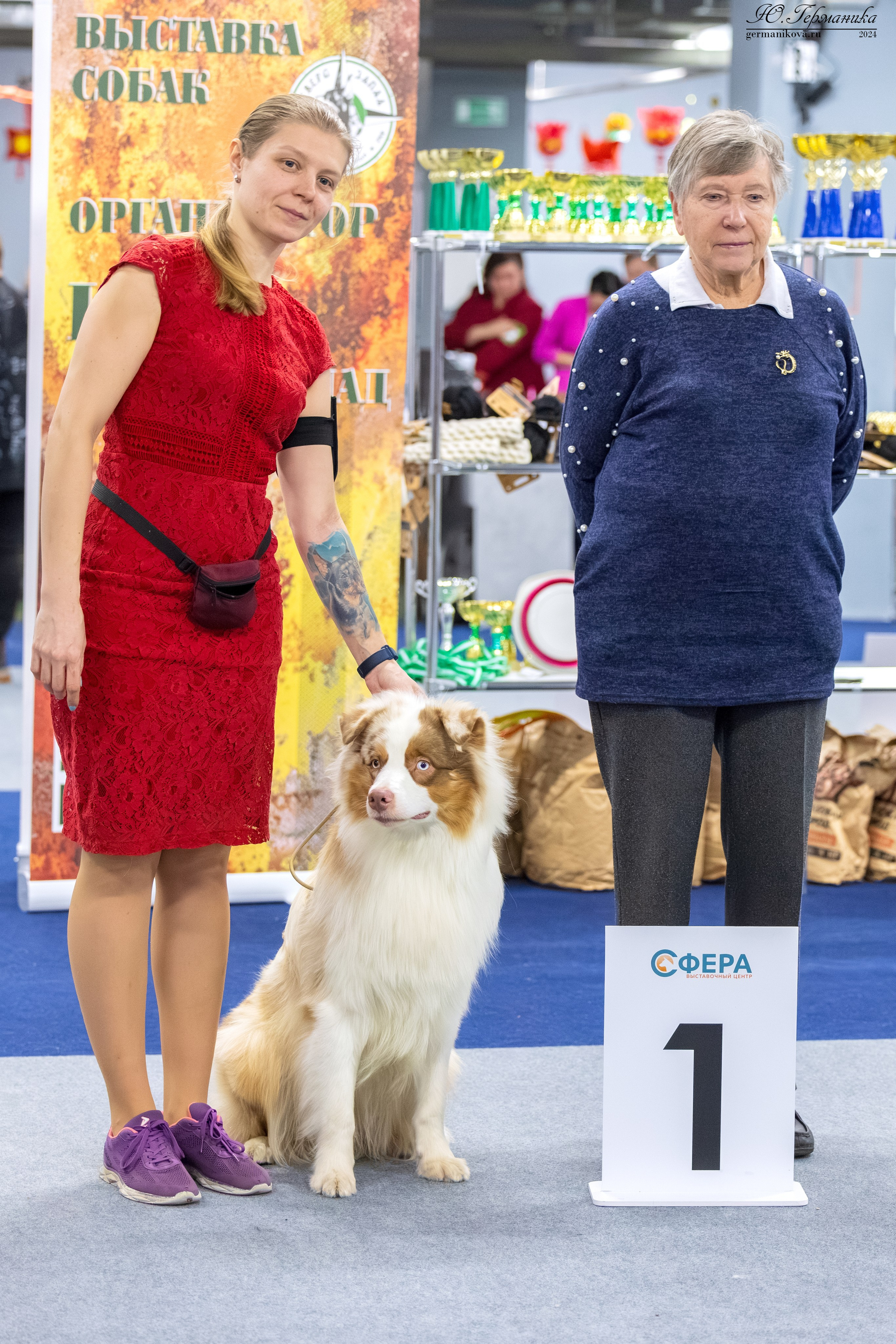 Сфера 08 и 10.03.2024 2хмоно ротвейлеров+2хмоно сао. Фотограф-анималист Юлия Германика