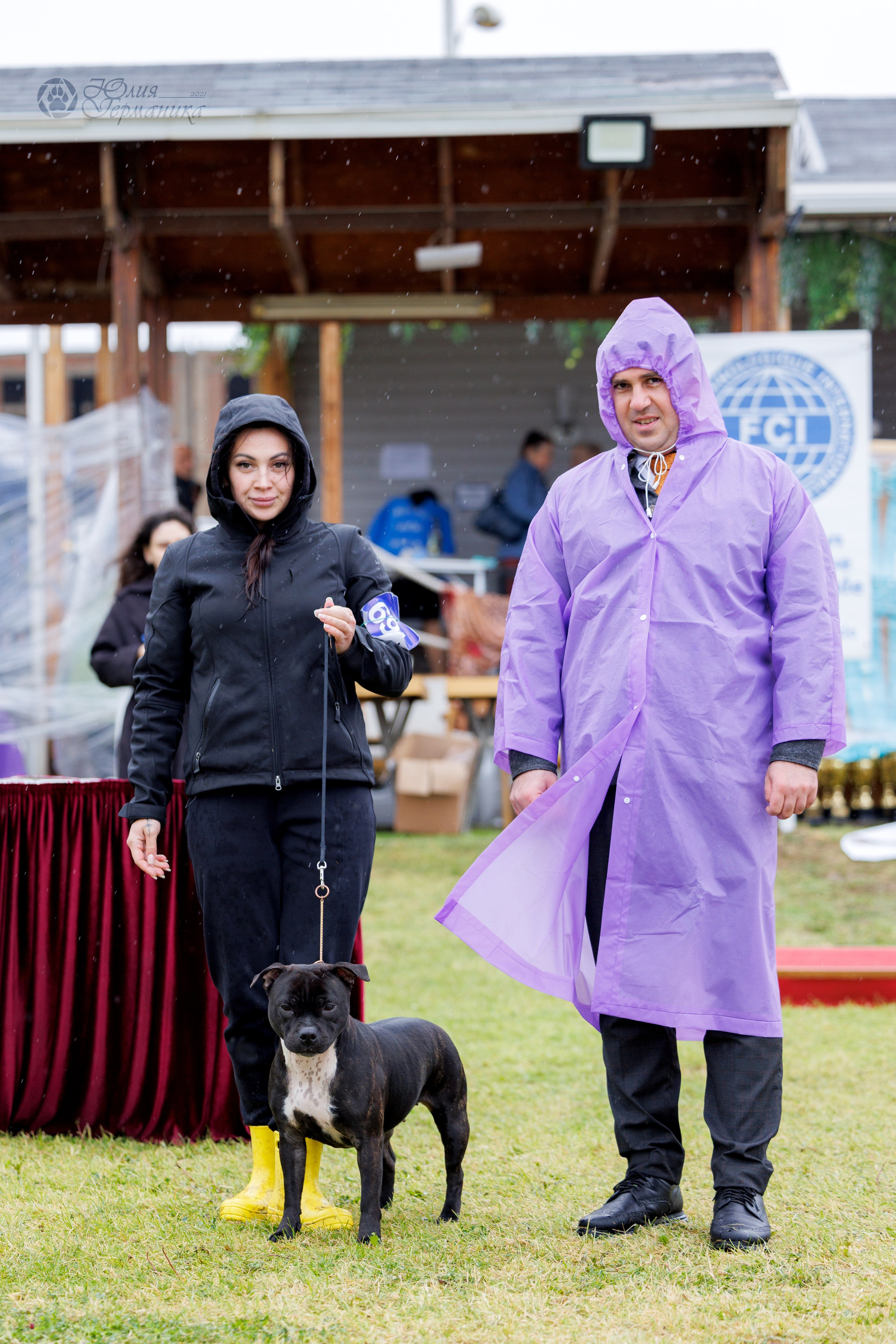 Армения,Ереван 3хCACIB 15-17.10.2024. Фотограф-анималист Юлия Германика