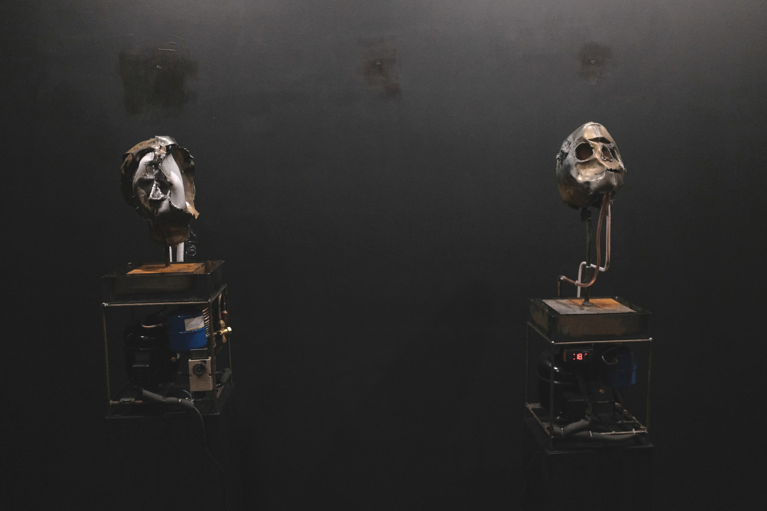 Открытие выставки «человек космический». Репортажный фотограф в Санкт-Петербурге Даниил Могута