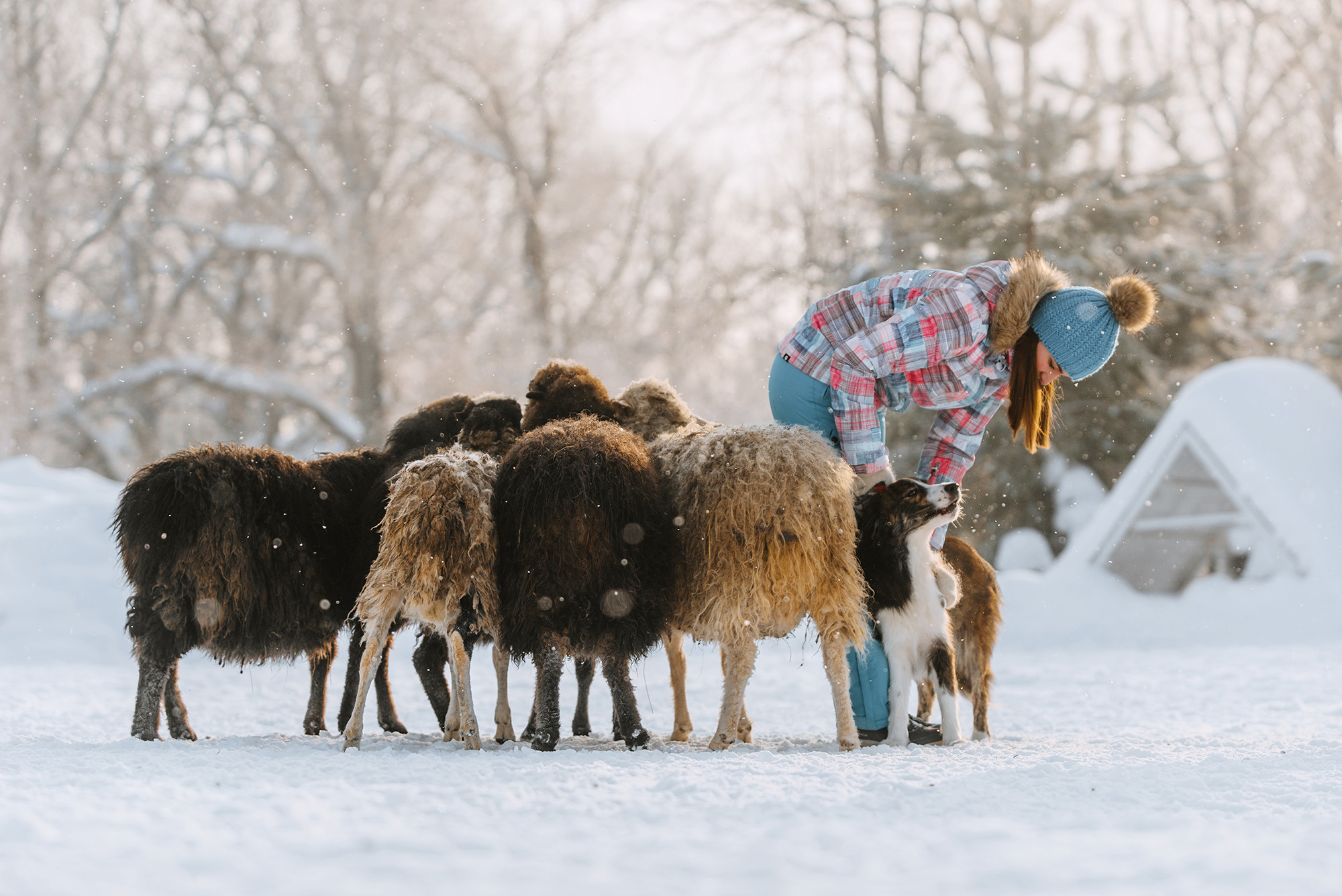 Пастьба. Фотограф Анна Тюрина
