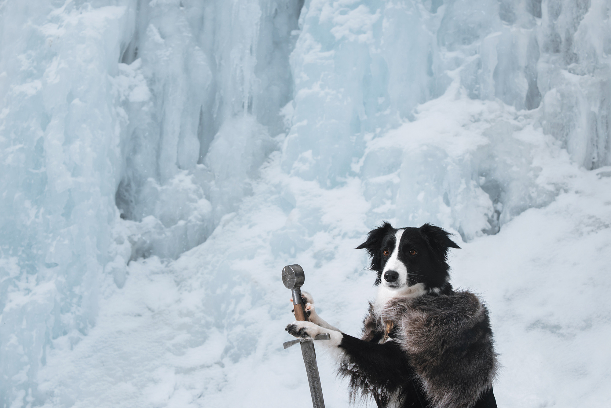 Чистое творчество. Фотограф Анна Тюрина
