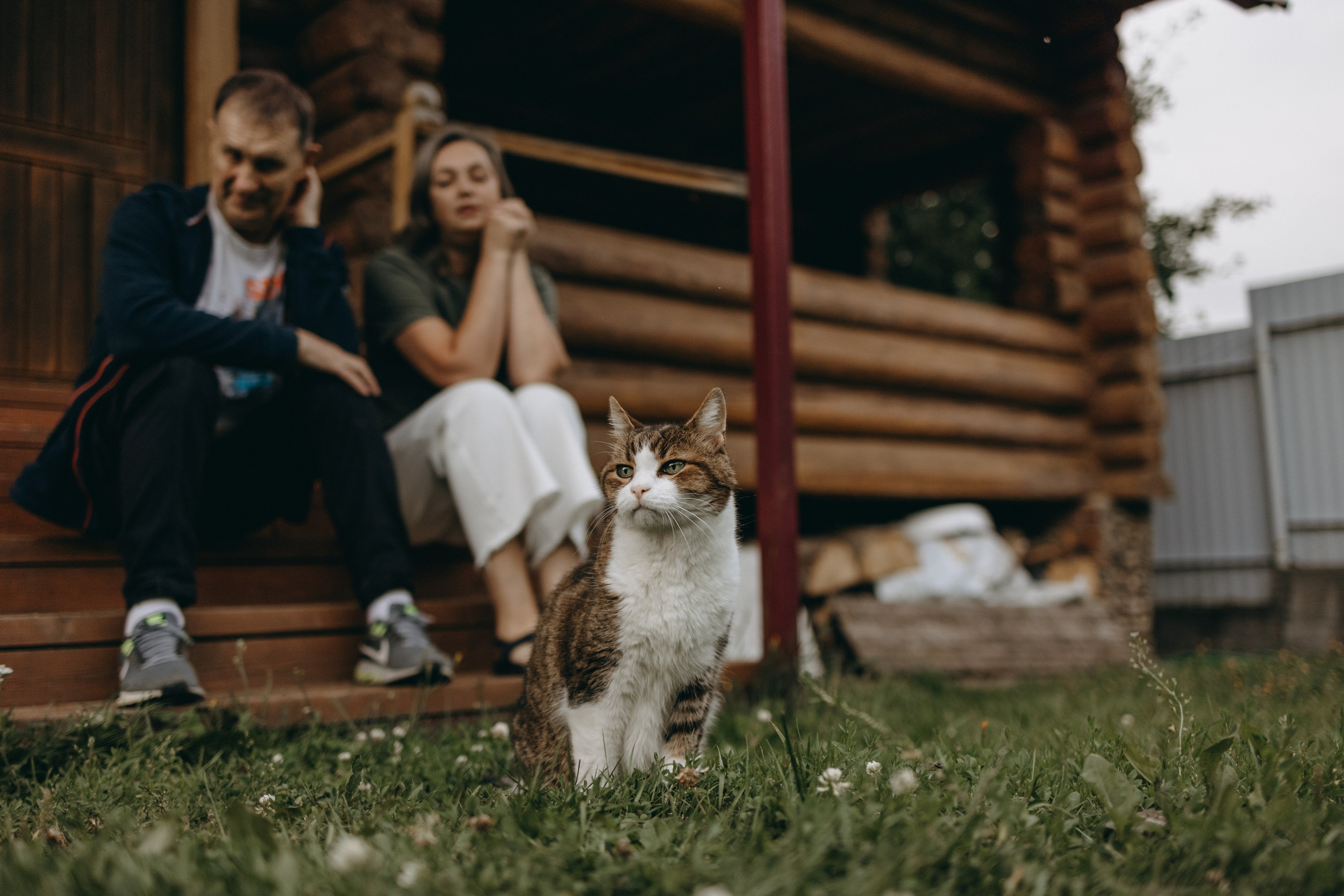 Дом у реки. Фотограф — Анималист | Санкт-Петербург