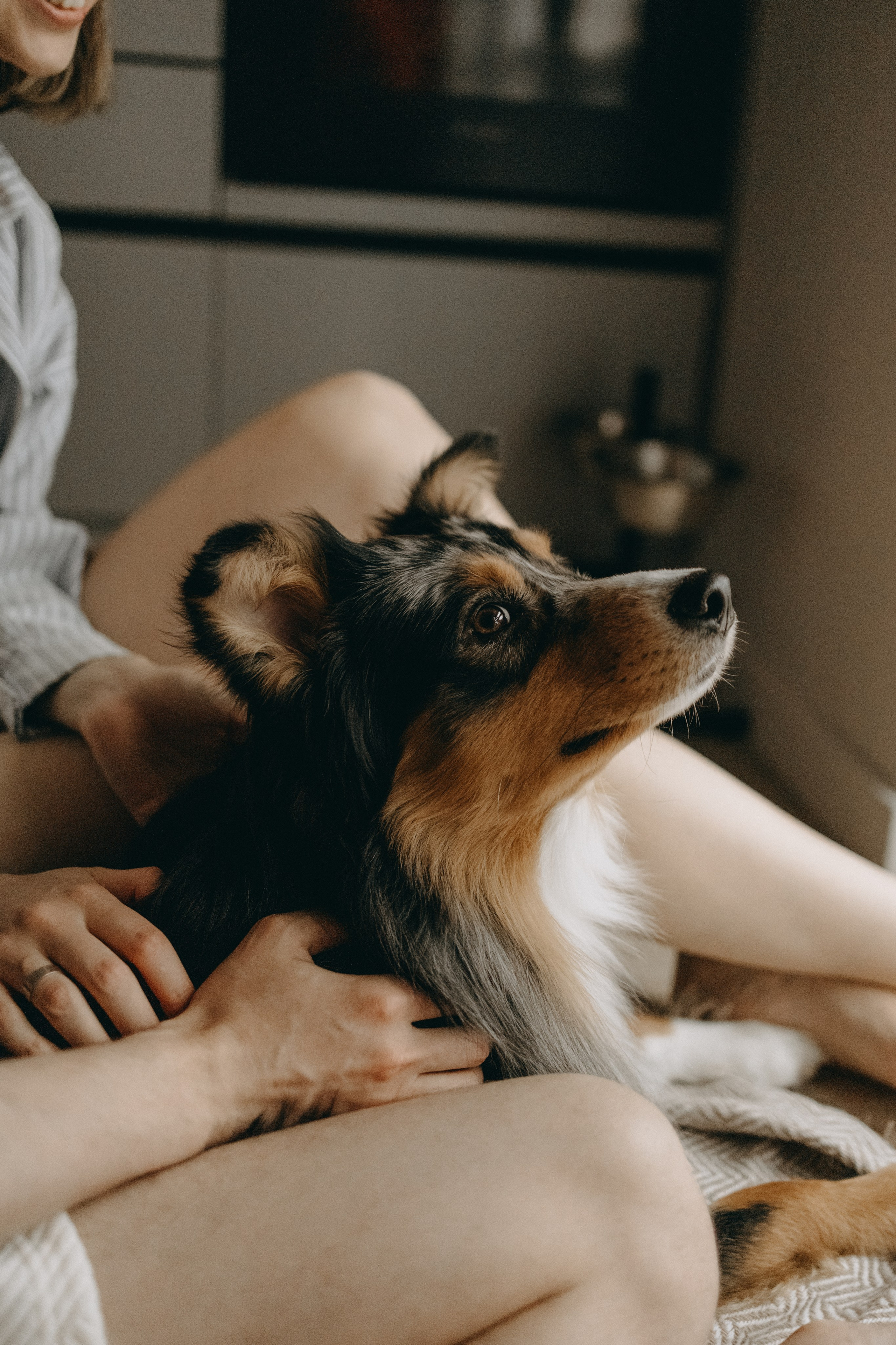 Настя, Никита и их Гром и Мяу. Фотограф — Анималист | Санкт-Петербург
