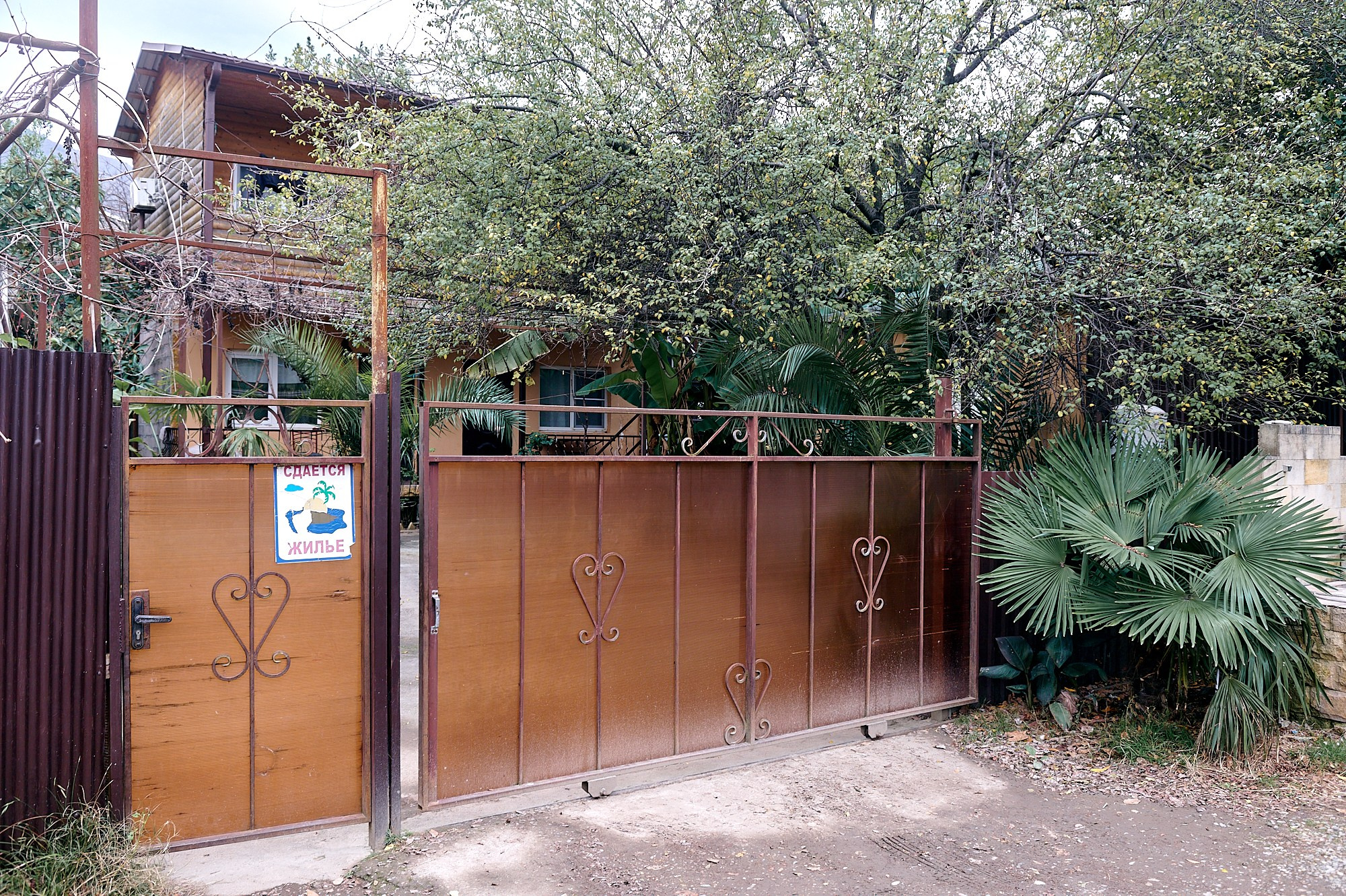 Гагра, Абхазия. Декабрь 2024. Фотографии отовсюду и обо всем