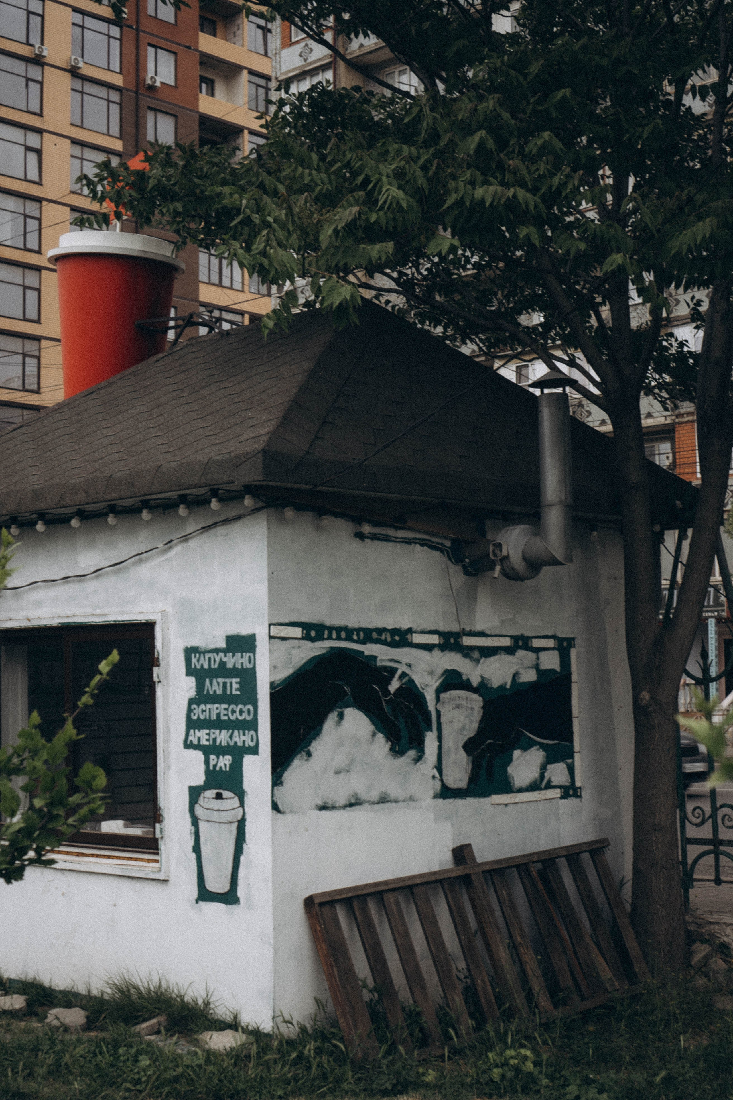 Кавказ. Профессиональный фотограф, Санкт-Петербург — Виктория Богомолова