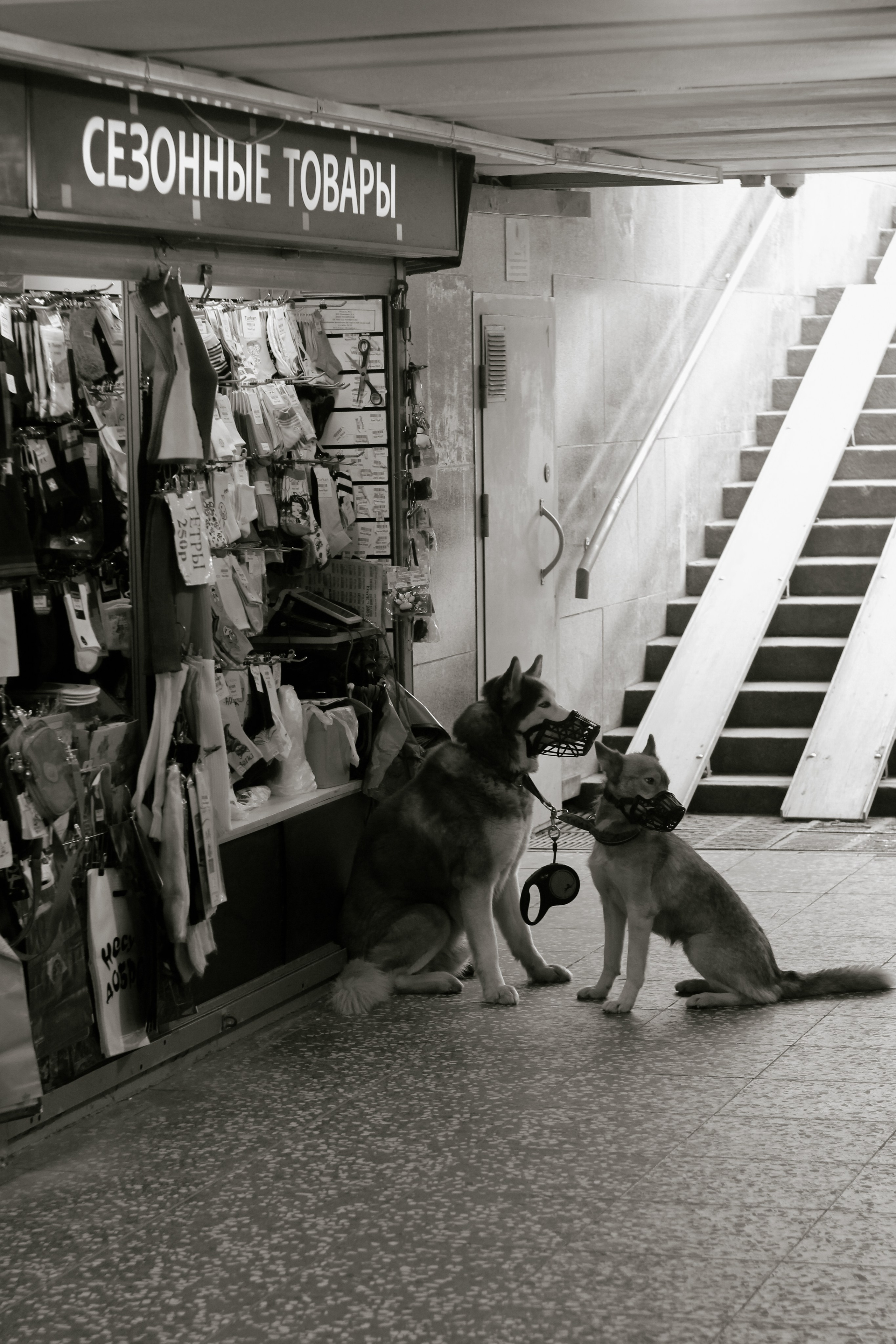 Street. Фотограф YODLUCE