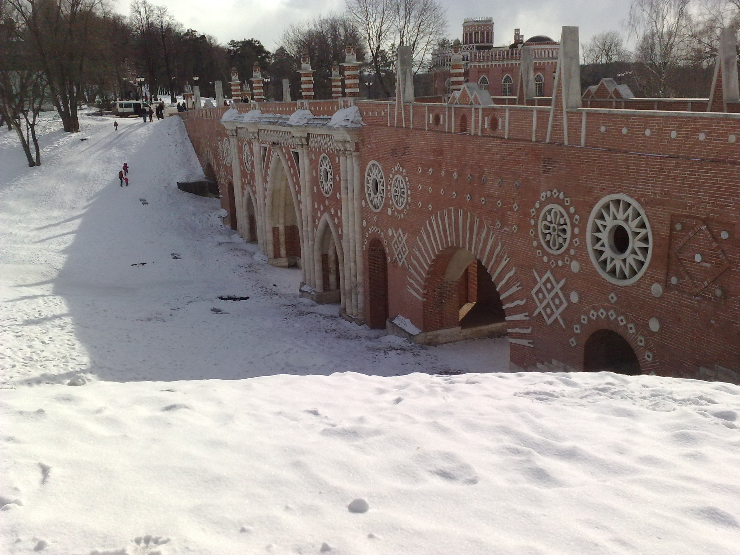 Царицино музей-усадьба. Питомник китайских хохлатых собак Poale Ell: купить щенка в питомнике