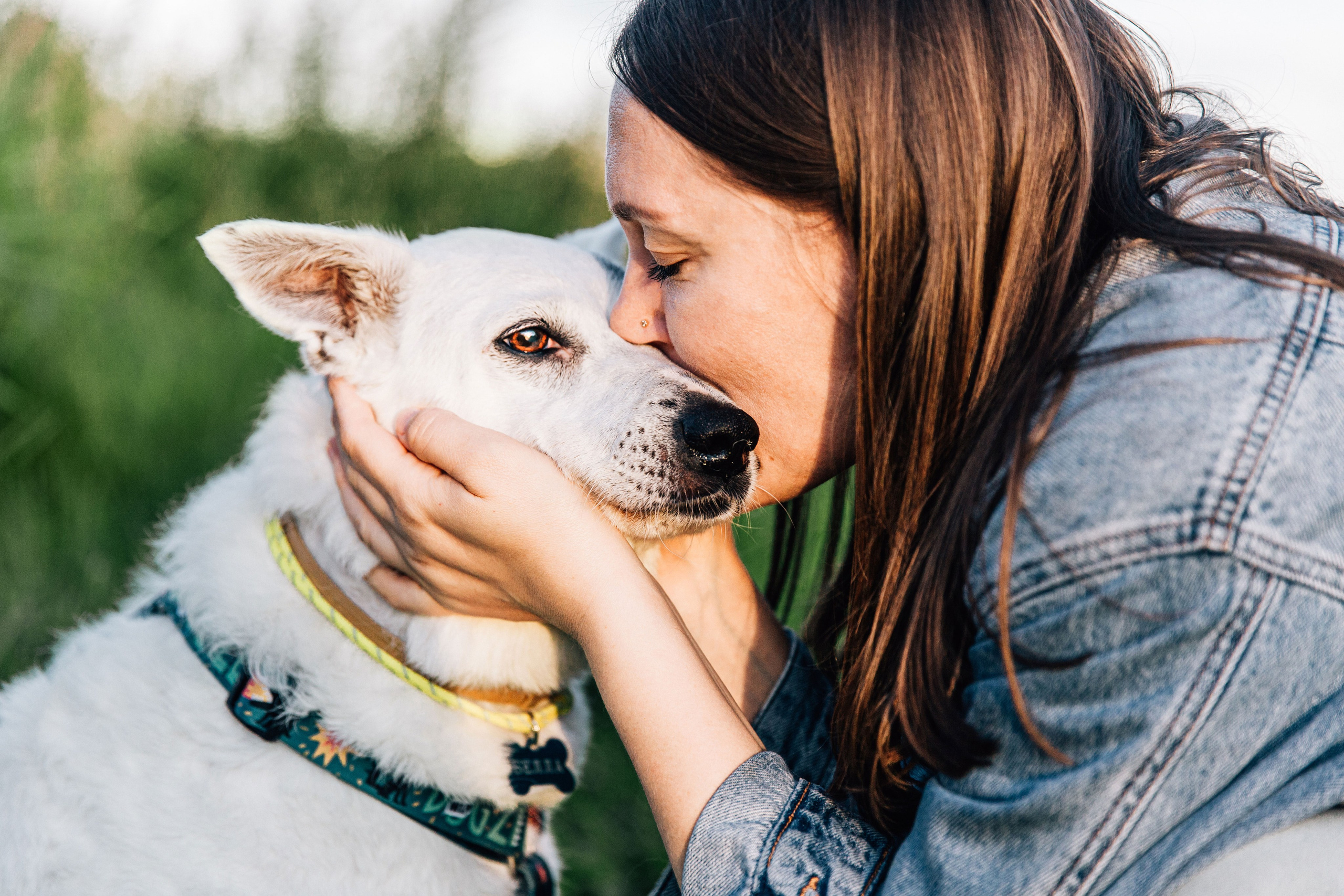 Саша и Белла. Фотограф-анималист в Москве Соломонова Варвара