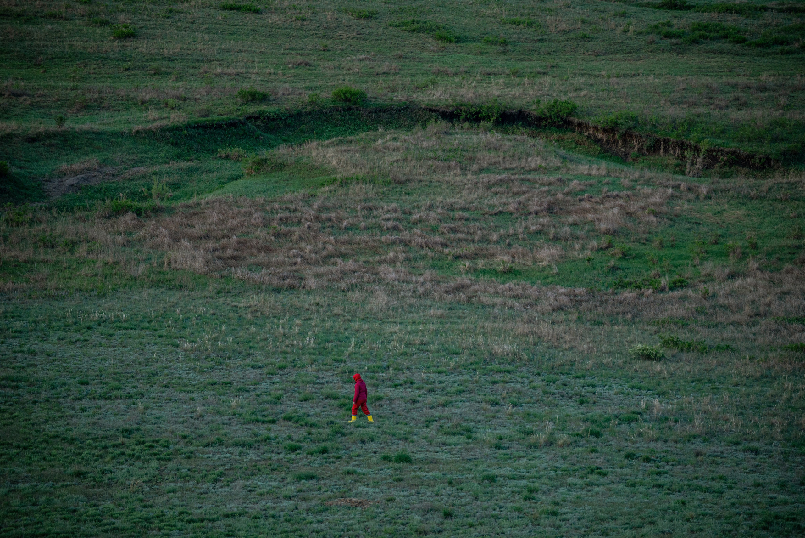 Заповедник «Оренбургский», предуральская степь. Фотообъединение Самарского областного отделения Союза журналистов России