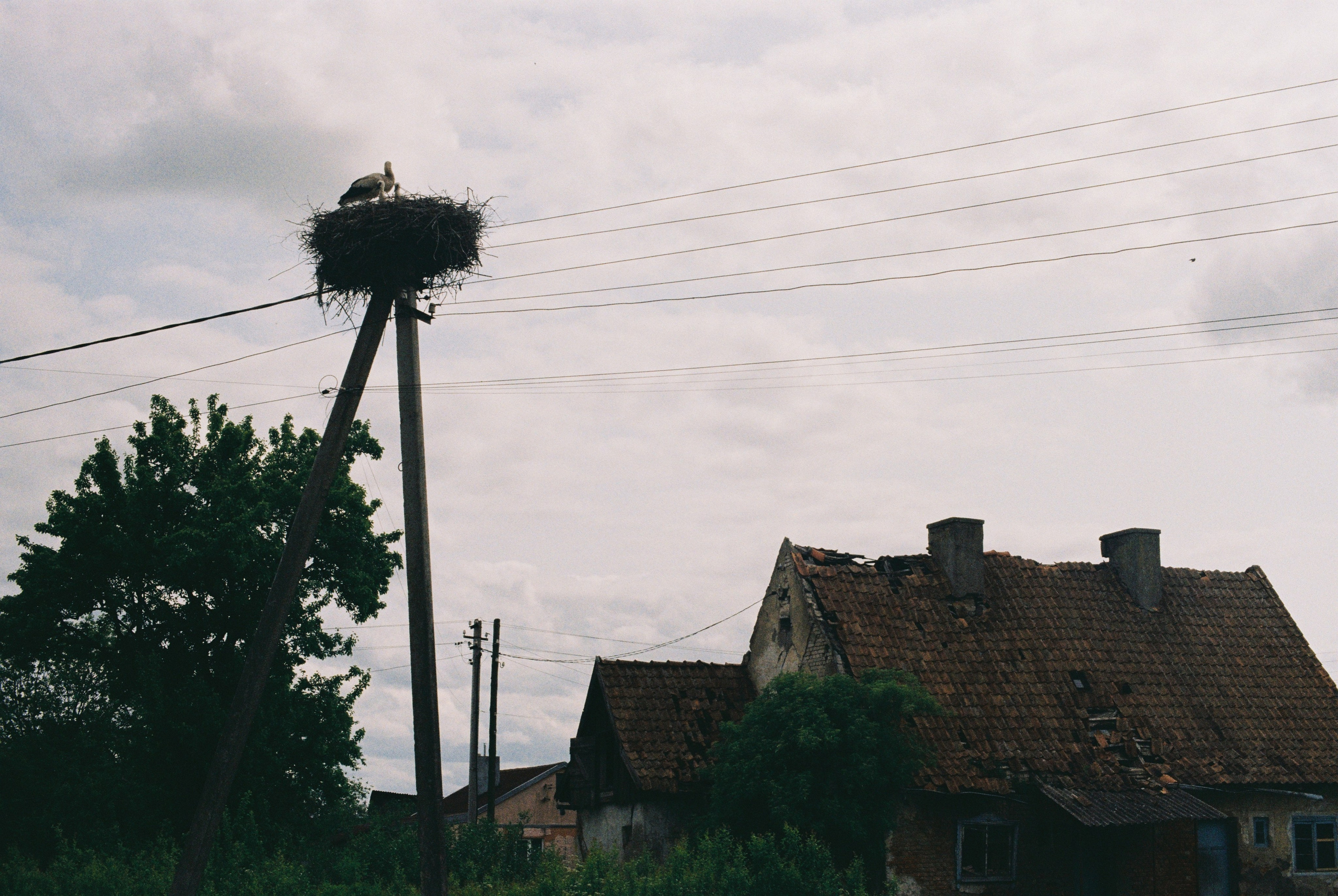 EXHIBITION. Репортажный и интерьерный фотограф, фотохудожник