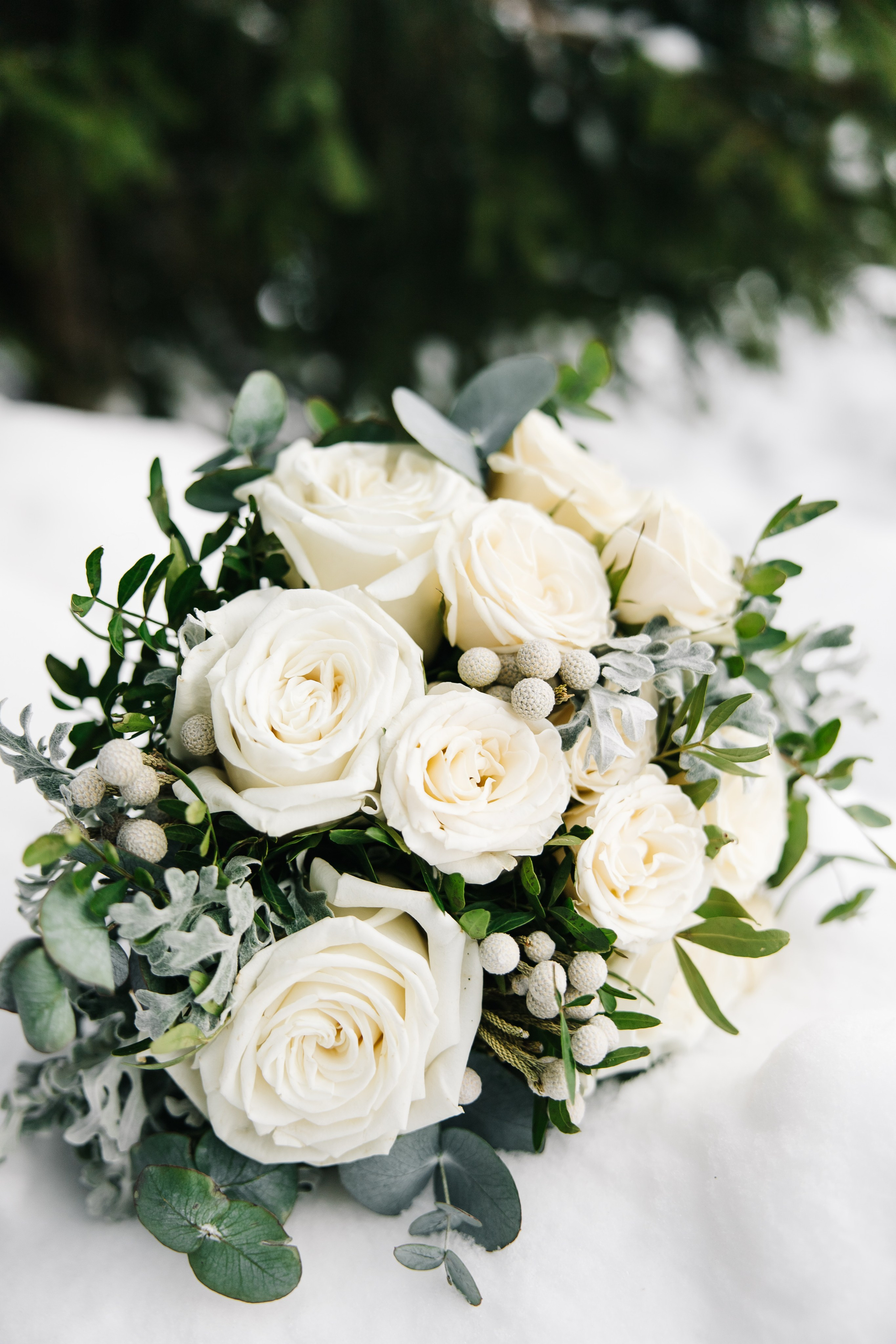 Свадьба в клубе Леонида Тягачёва. Семейный фотограф в Дмитрове Валентина Халикова