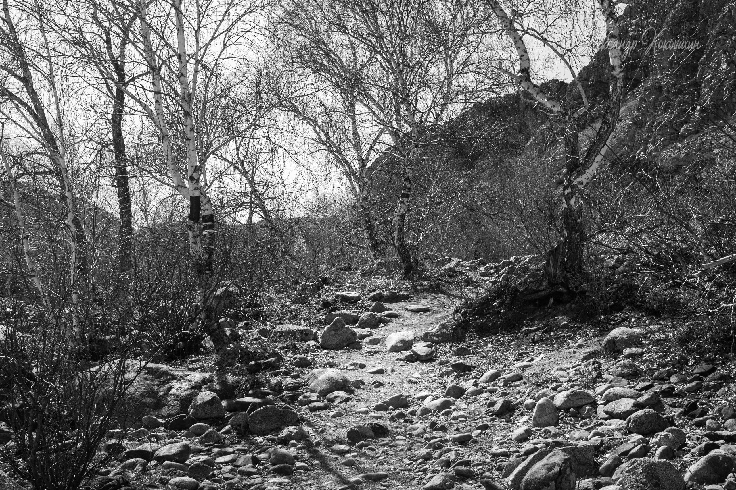 Природный пейзаж. Фотограф Александр Коковихин