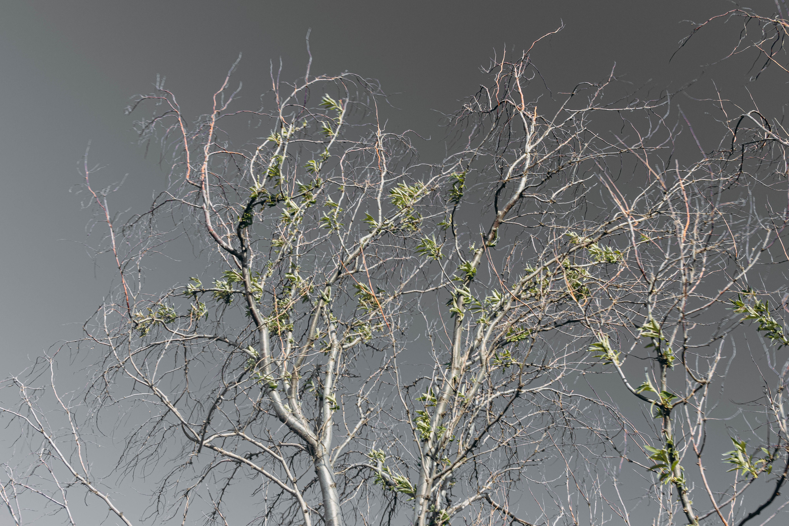 ПРИНТЫ. Виктория Князева| фотограф из Санкт-Петербурга