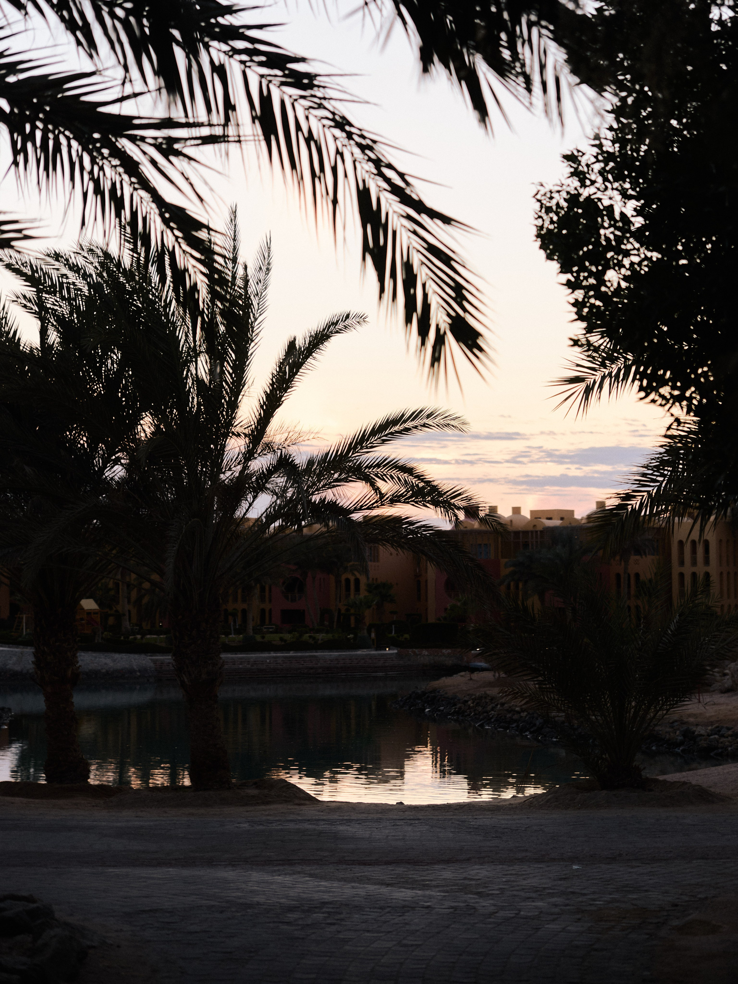 Природа сквозь. Jorgis Talè — photographer, kind person, teacher of arts and other mag