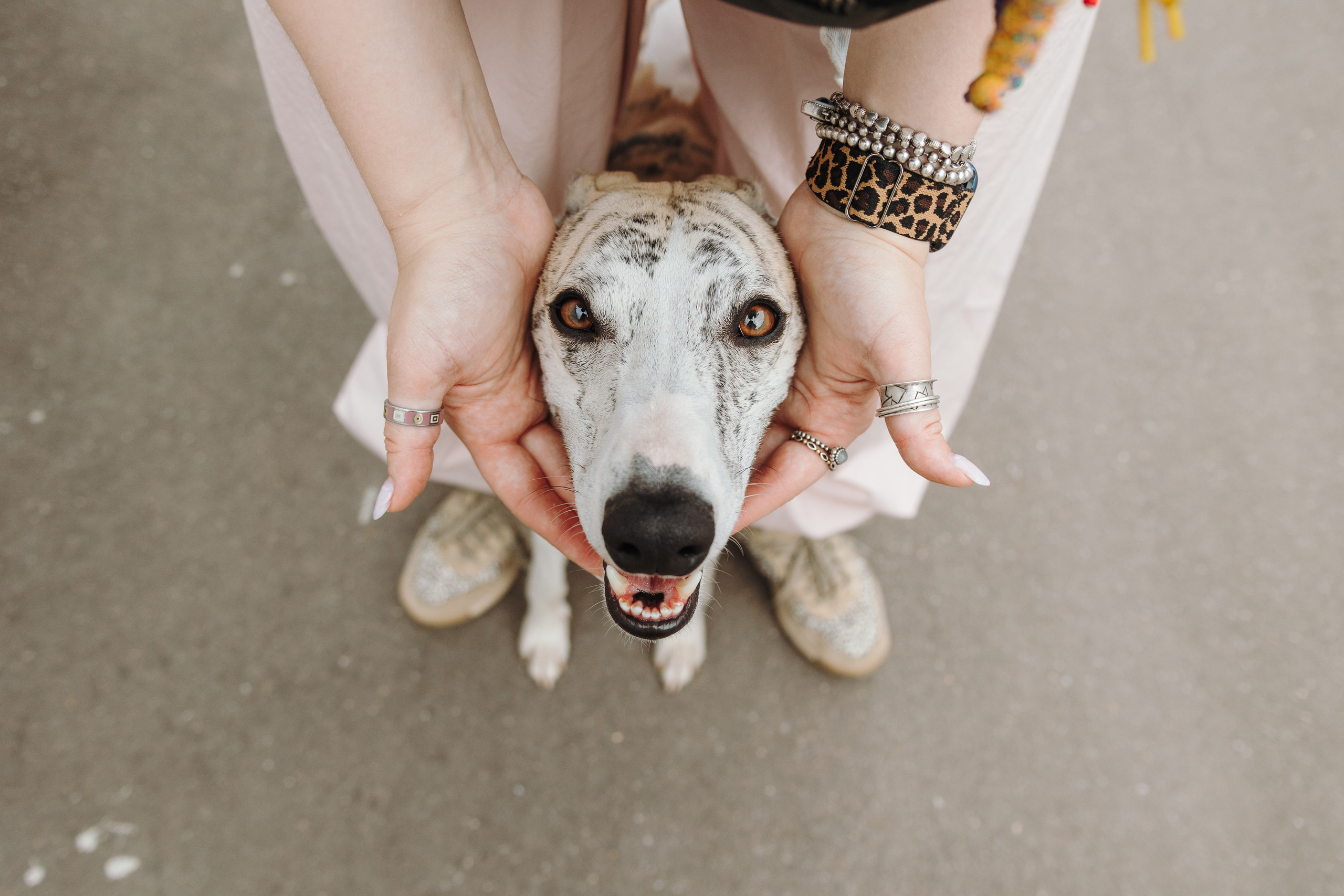 Саша и Гусь. Фотограф анималист Кристина Карпова, Москва