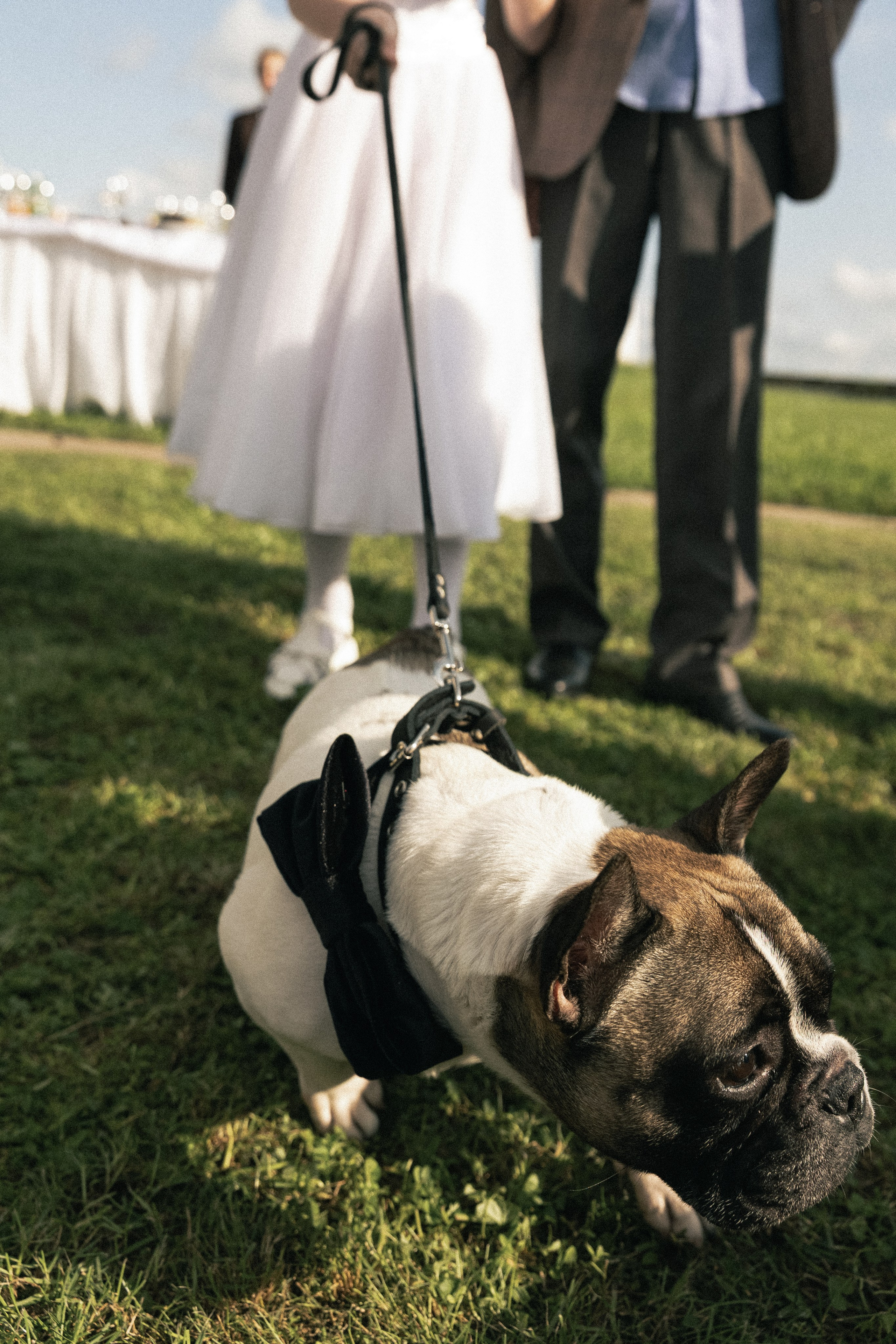 Валерия и Николай. Свадебный и портретный фотограф в Калининграде и Москве Марк Юдинцев