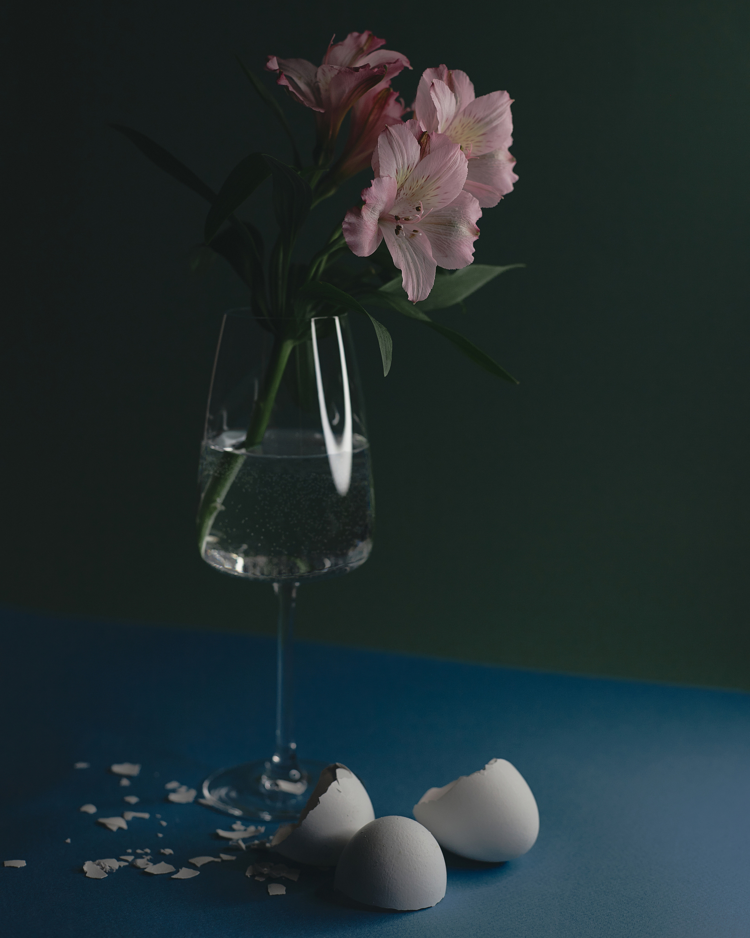 {nature morte}. Визуальный продюсер и фотограф Екатерина Калинина. Город Челябинск