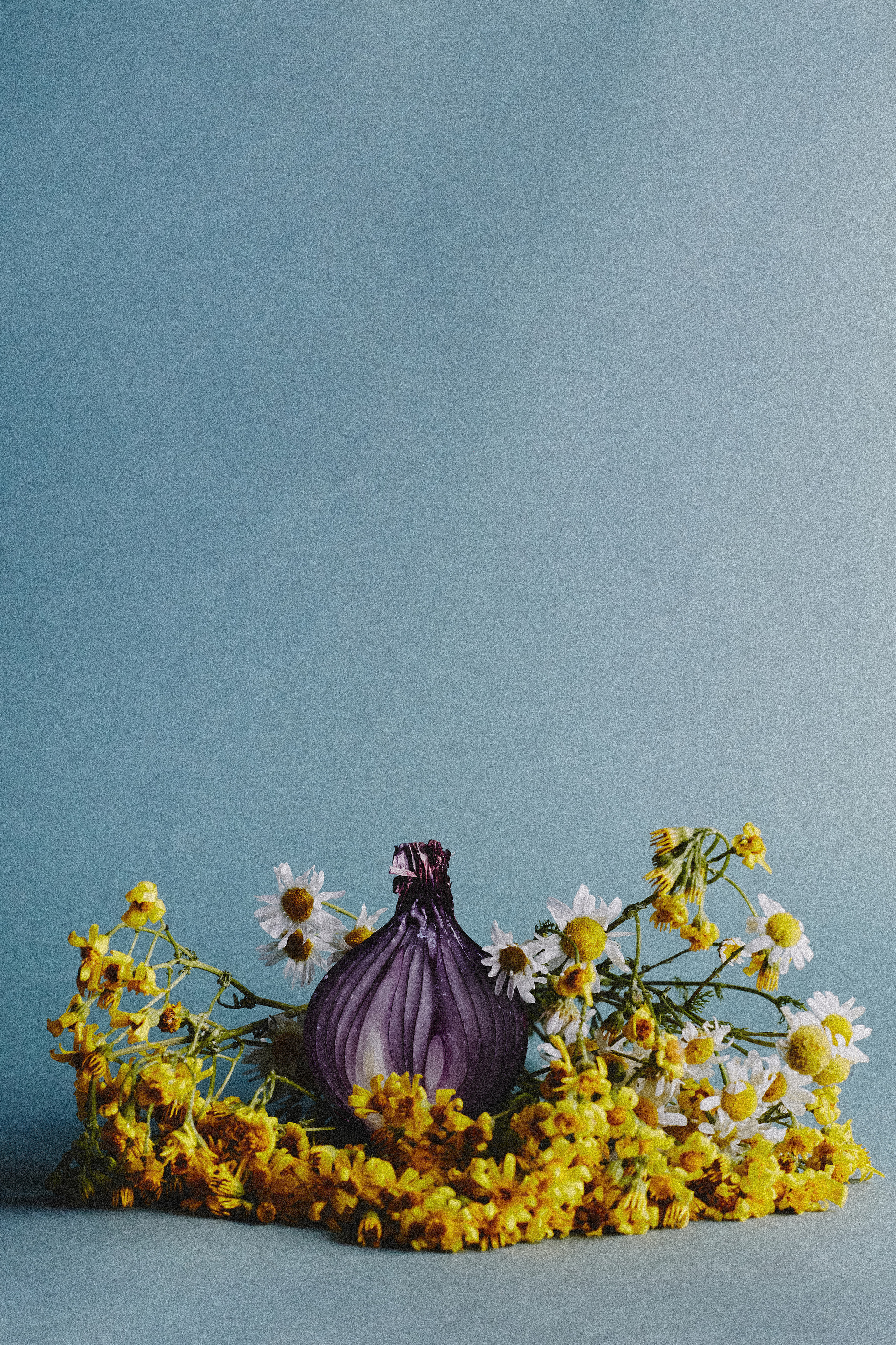 {nature morte}. Визуальный продюсер и фотограф Екатерина Калинина. Город Челябинск