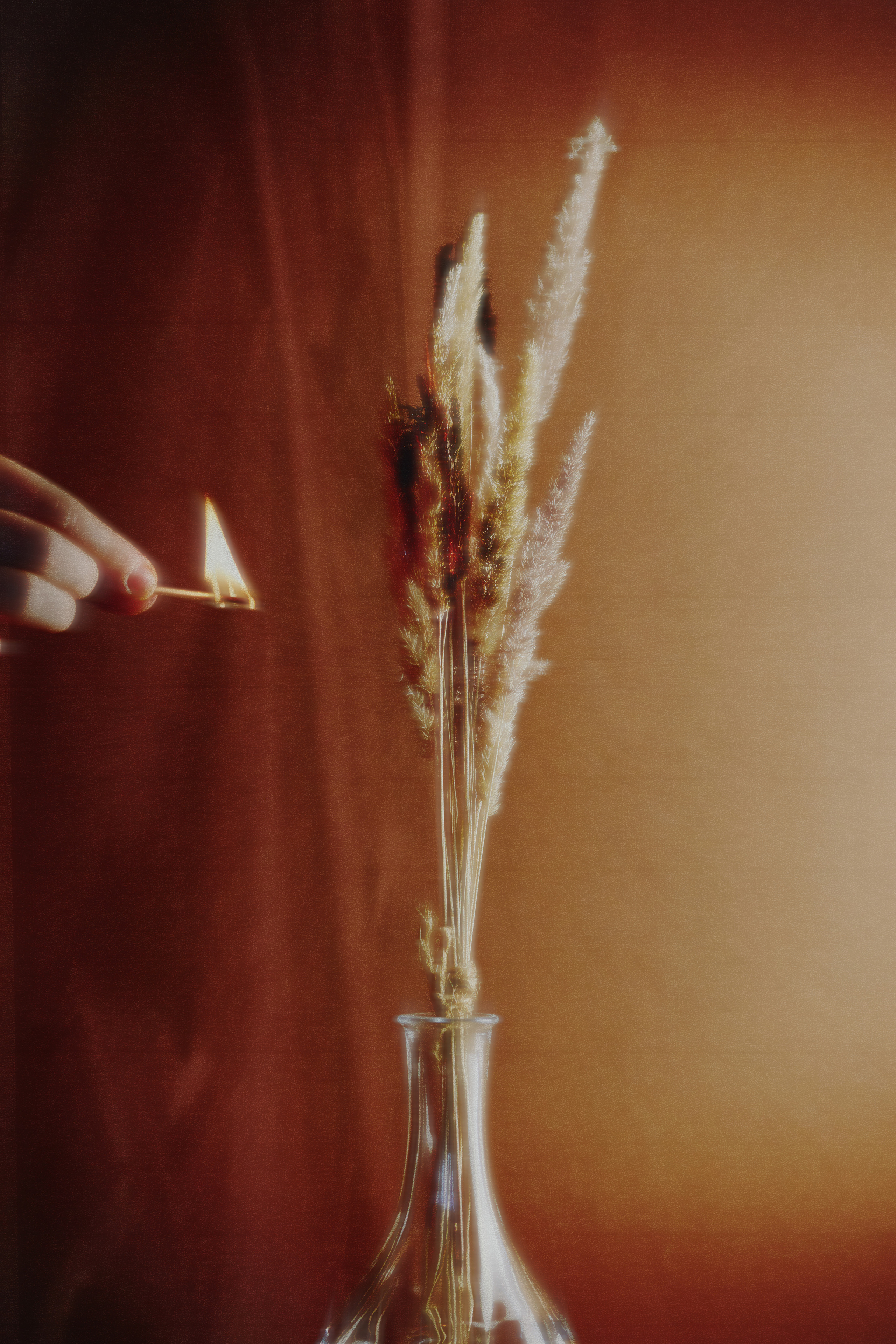 {nature morte}. Визуальный продюсер и фотограф Екатерина Калинина. Город Челябинск