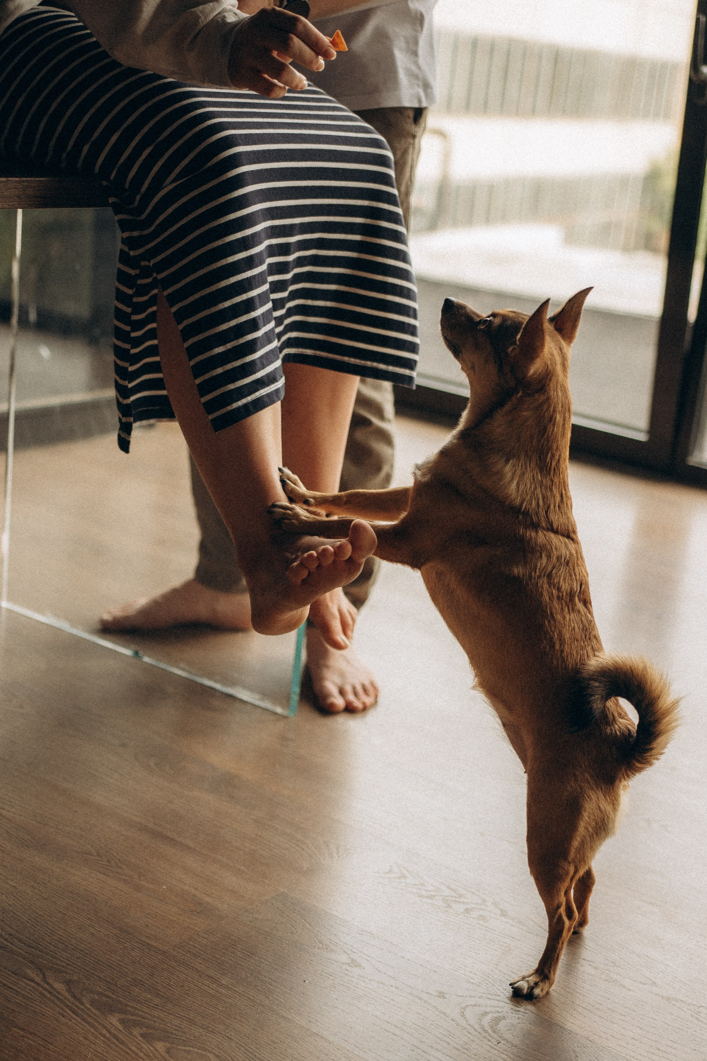 Алена, Антон и Гая. Гаврилова Настя семейный фотограф lifestyle в Москве