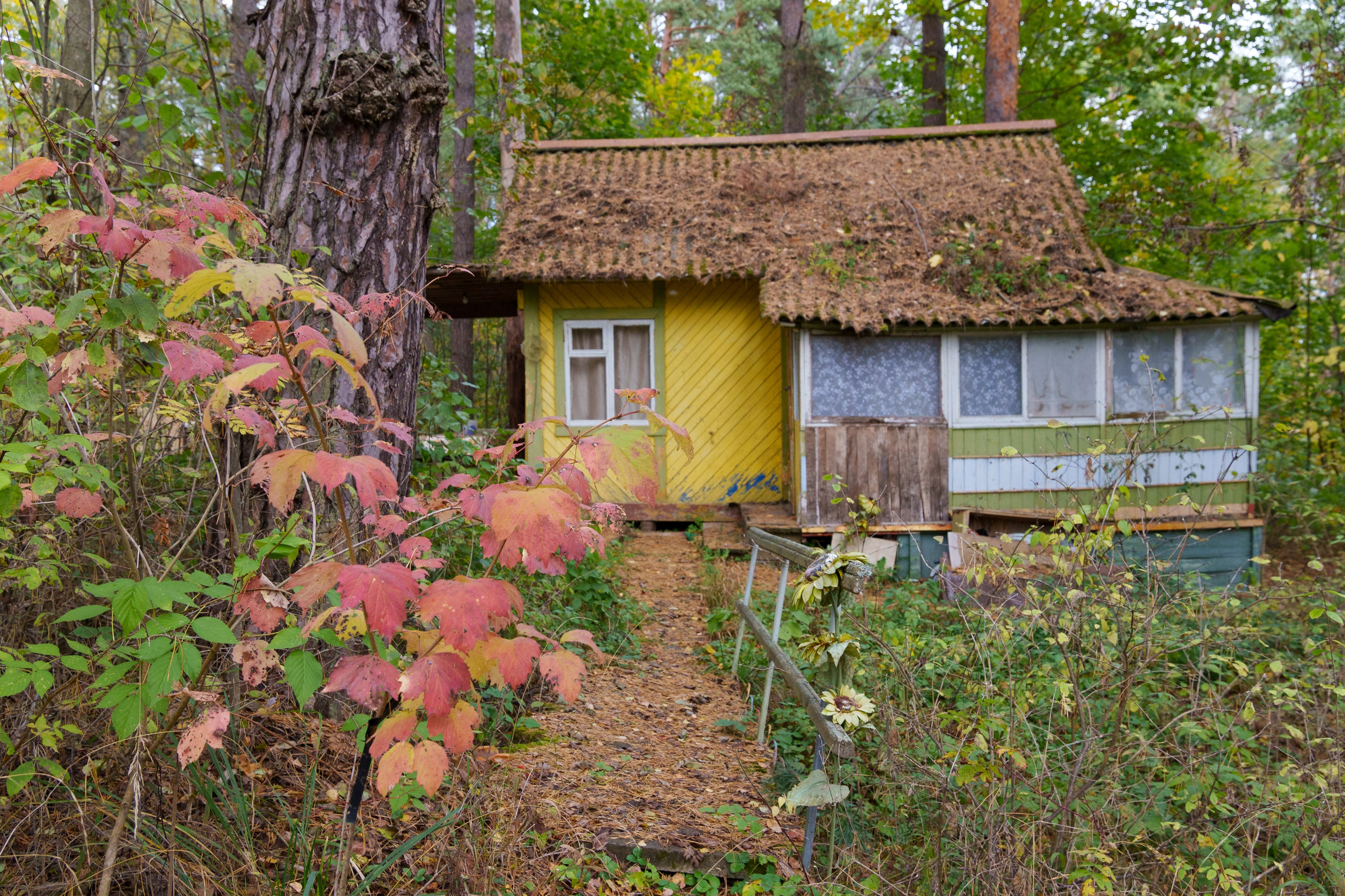 Фоторепортаж вечеринки. Интерьерный и архитектурный фотограф в Москве Панова Ольга