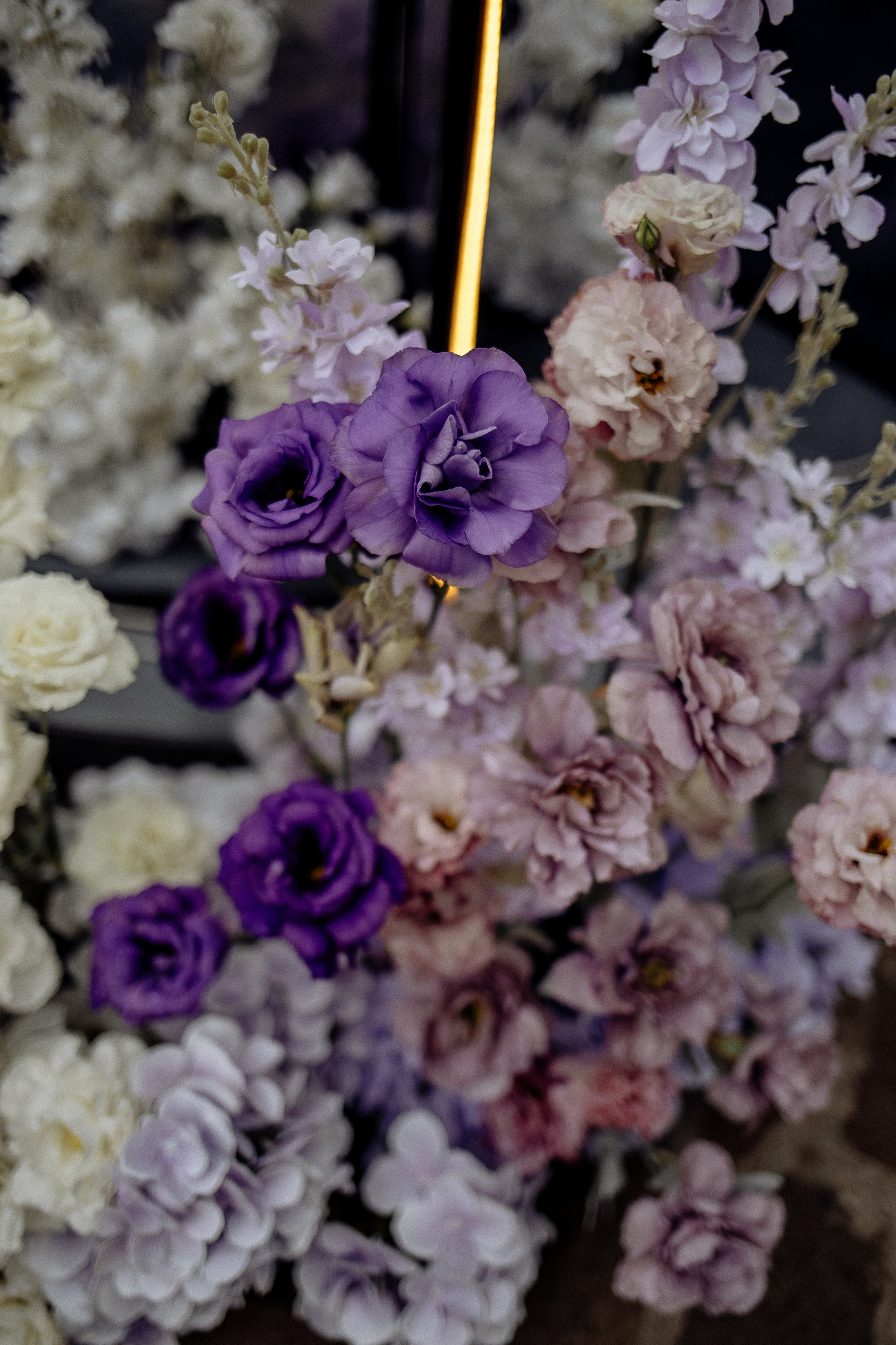 Никита и Ксения. Свадебный фотограф в Саратове Симашова Ирина