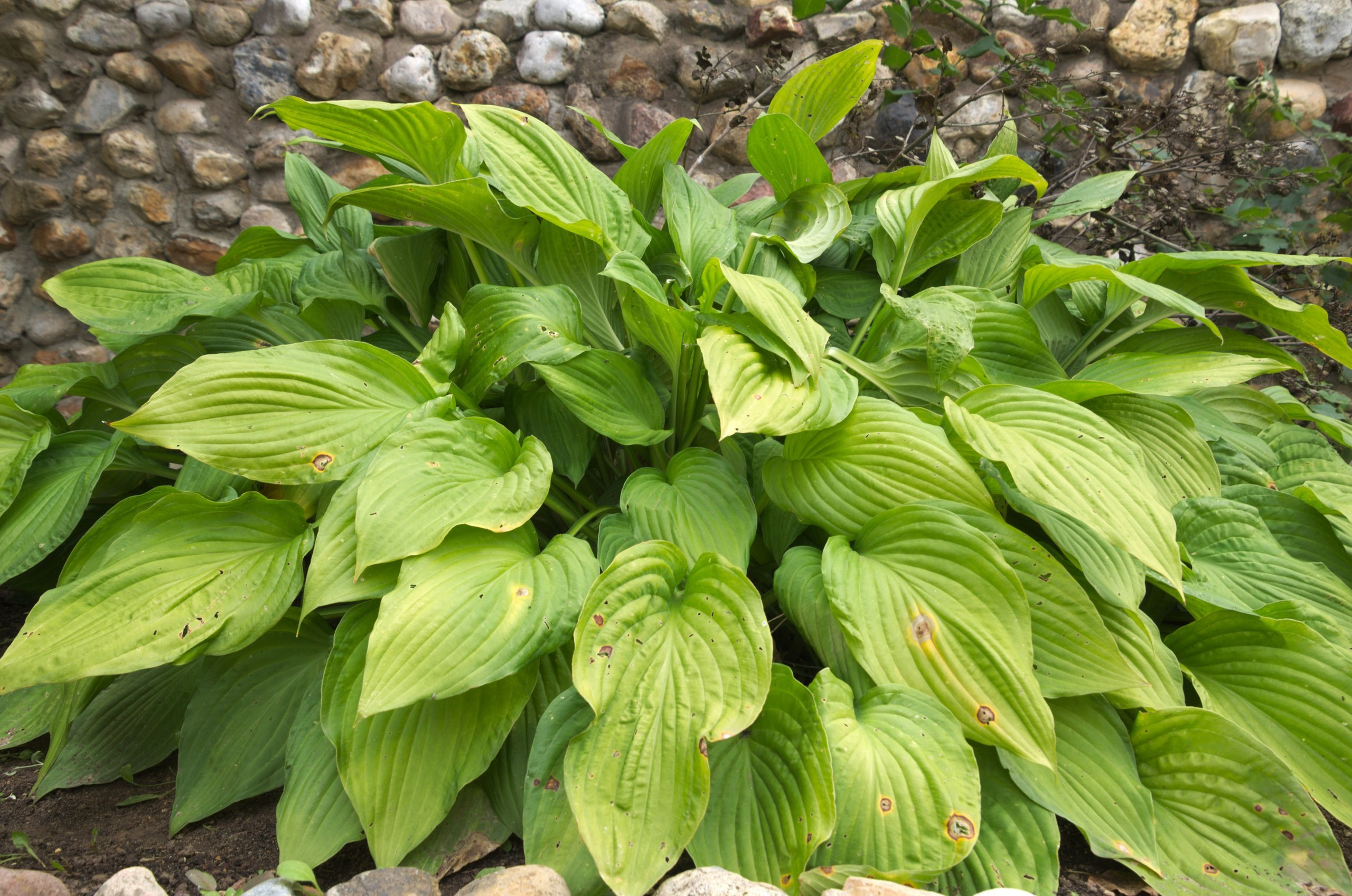 Боровск и парк птиц «Воробьи» | 17.09.2017. Галерея Фантим