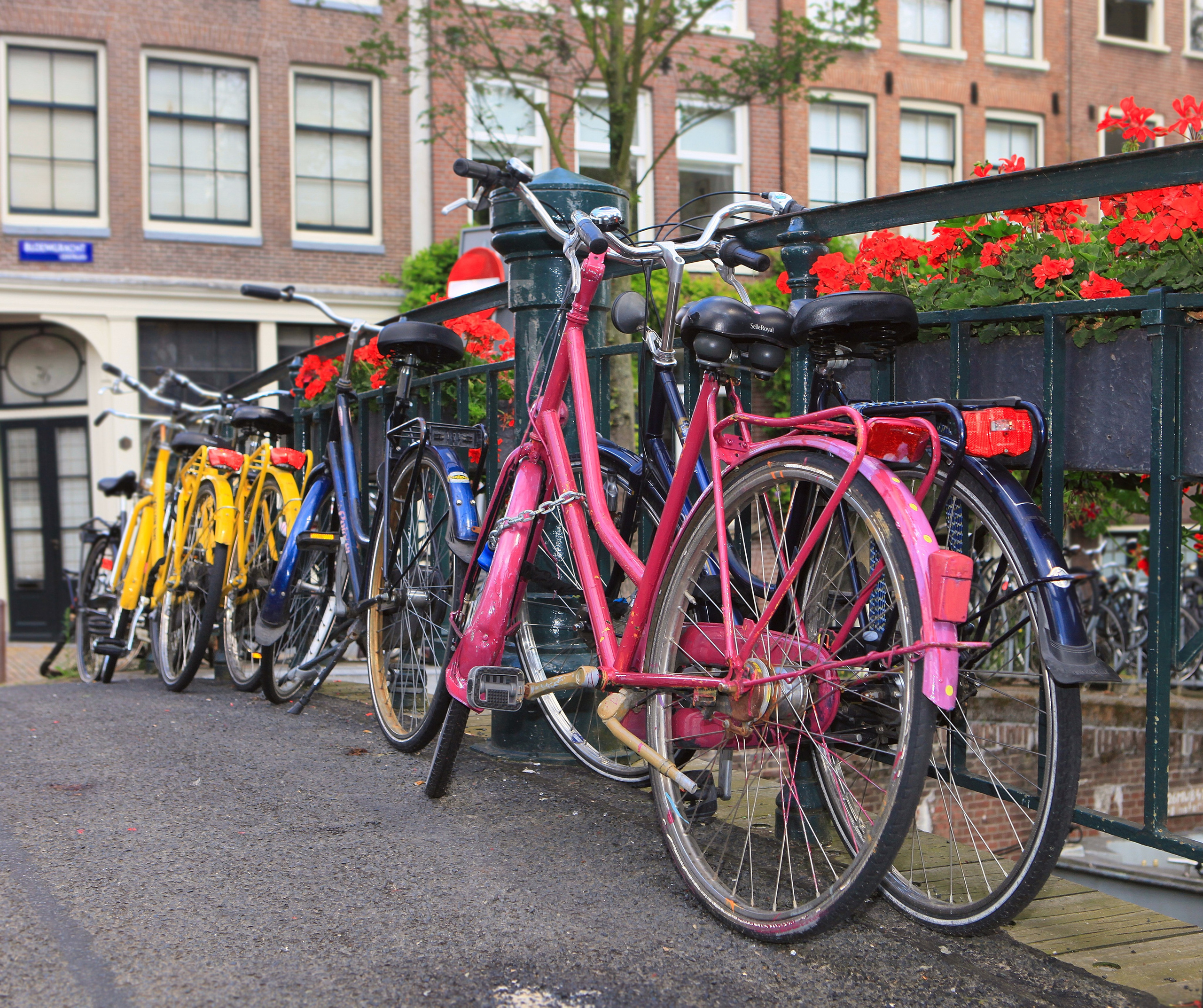 Амстердам. Фотография, ретушь, сканирование, восстановление старых фото, интерьерная съёмка, студия. Данилов Александр, Москва