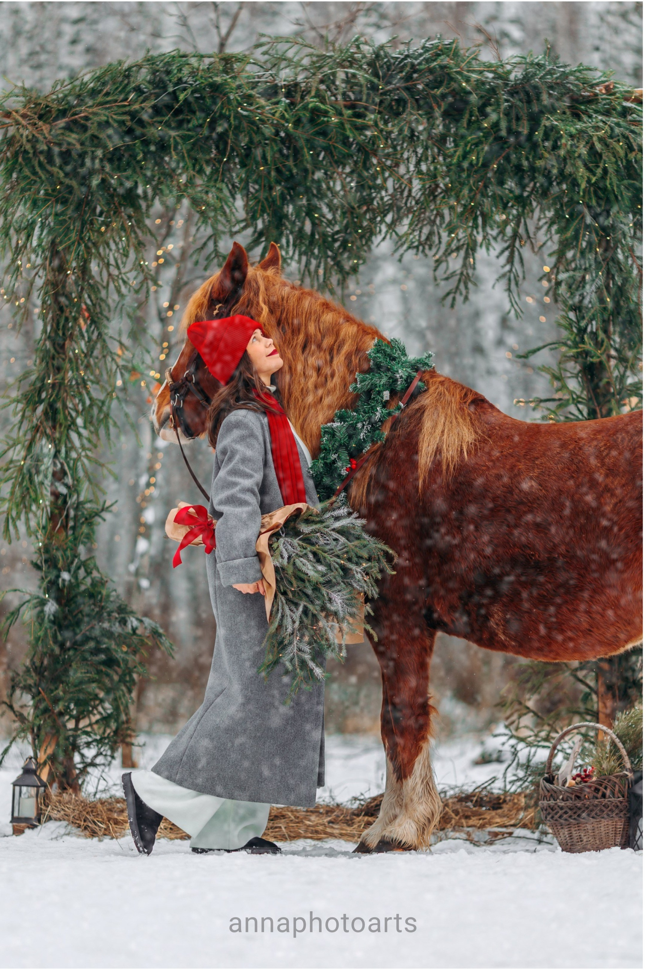 Тариф Новогодний 2025-2026. Анна Молчанова конный фотограф в Тюмени | фотосессии с лошадьми Тюмень