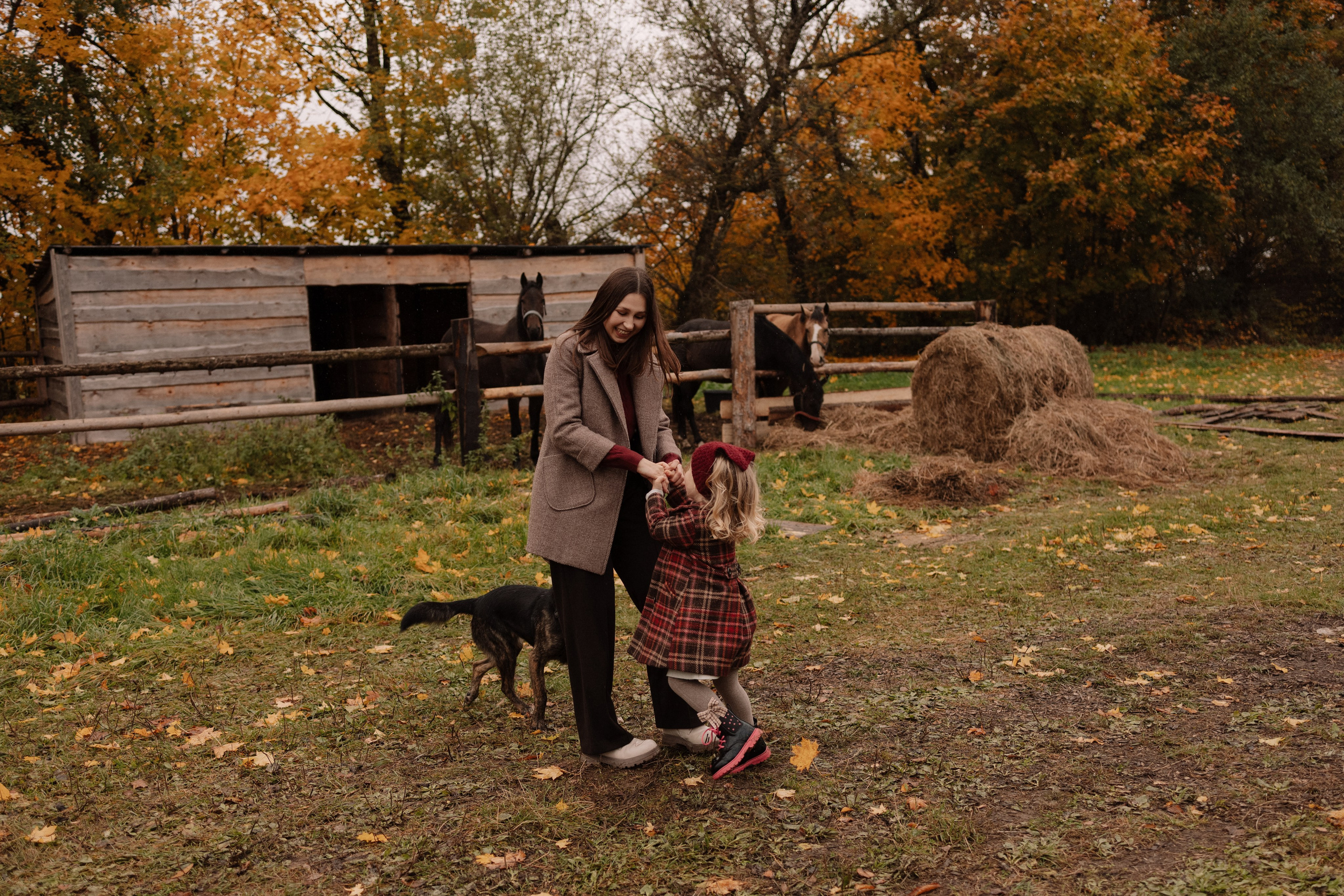 Семейная. Photographer Oseiko Nadezhda